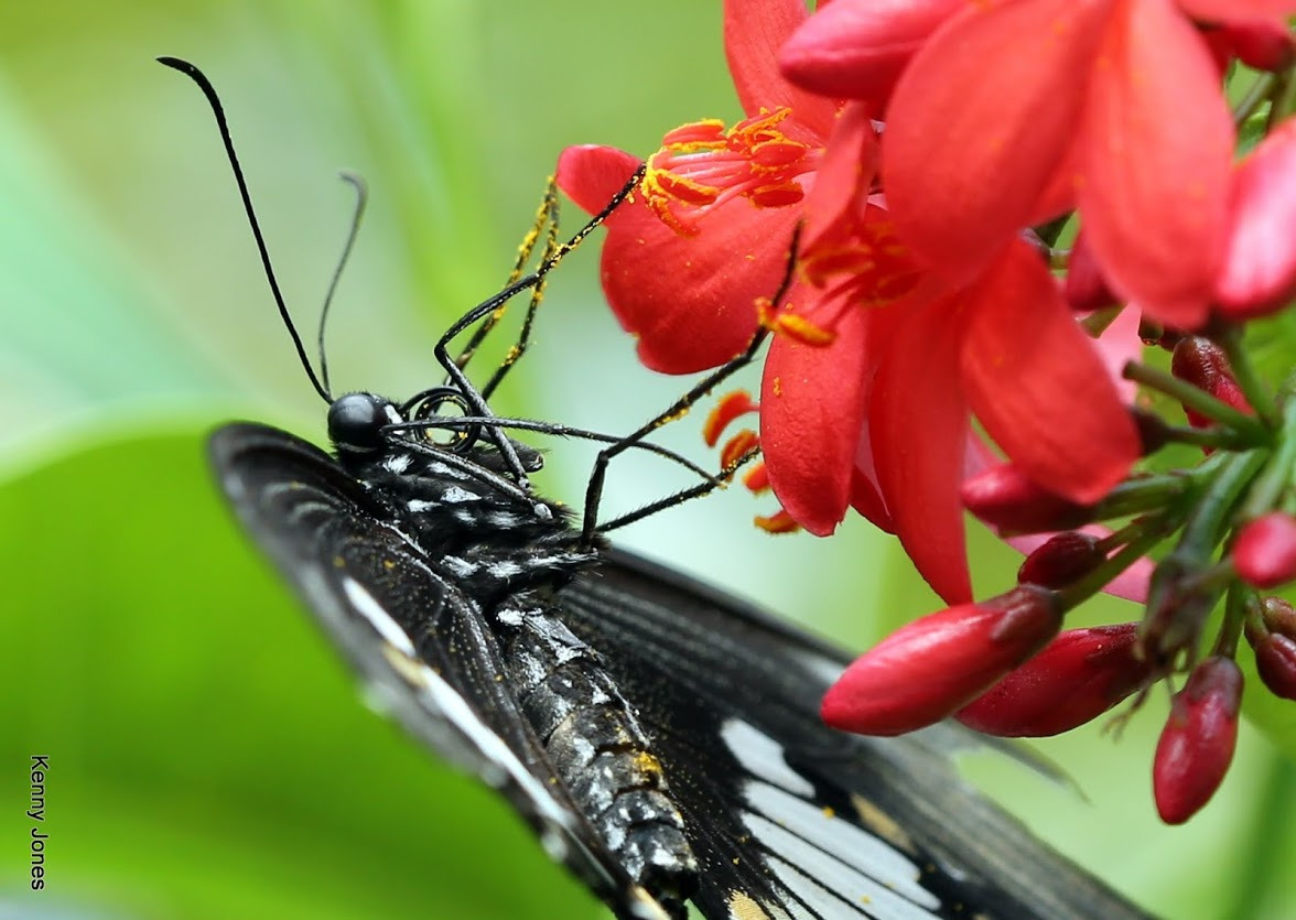 WBTPA Featured Top Photo