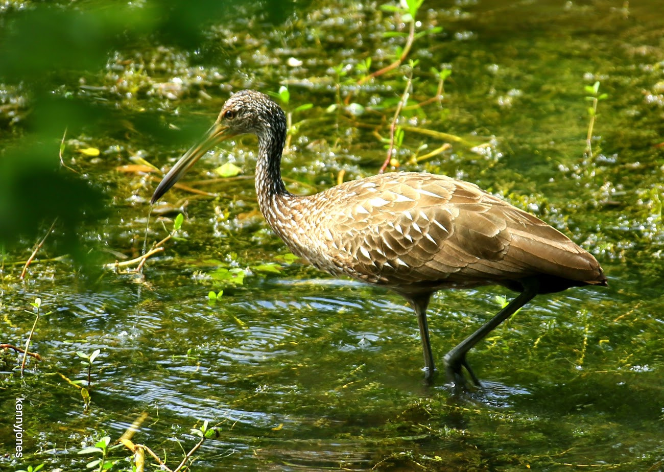 WBTPA Featured Top Photo