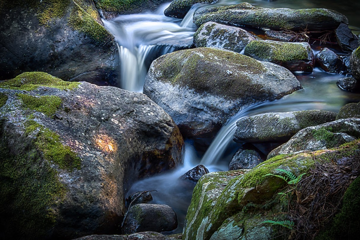 WBTPA Featured Top Photo