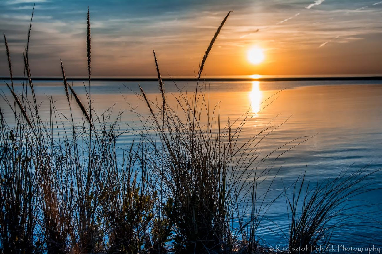 WBTPA Featured Top Photo