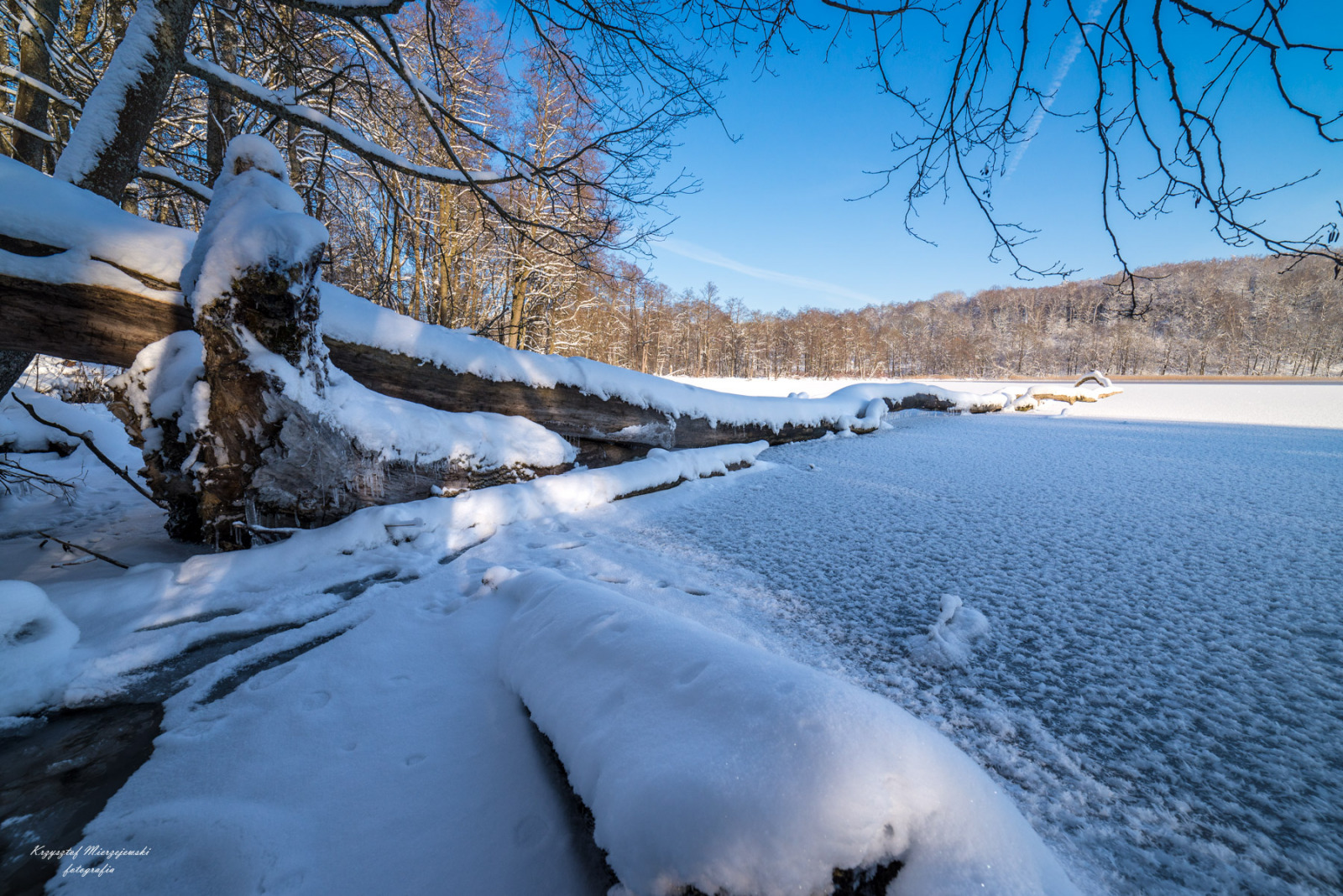 WBTPA Featured Top Photo