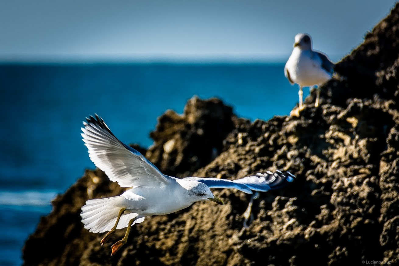 WBTPA Featured Top Photo