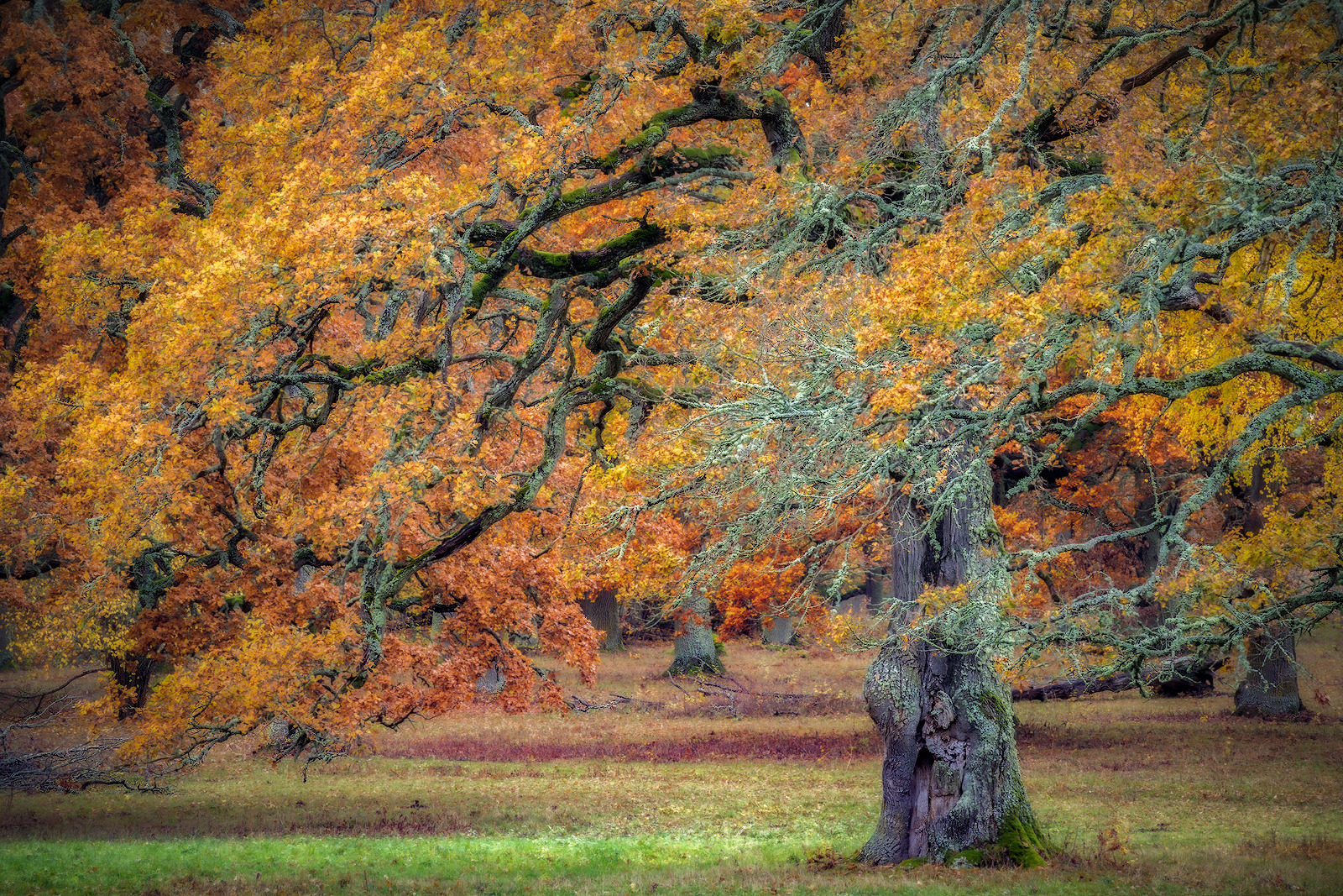 WBTPA Featured Top Photo