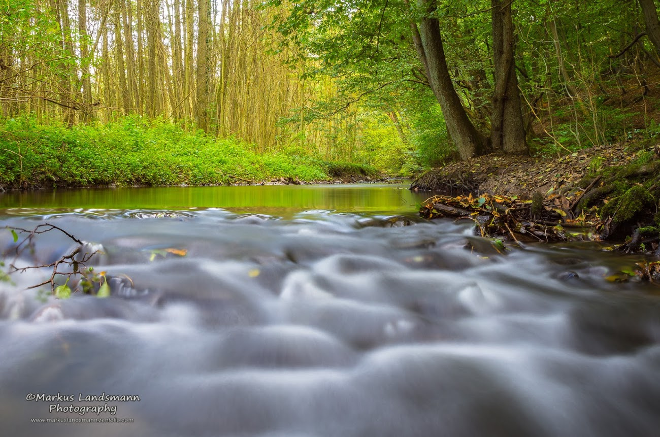 WBTPA Featured Top Photo