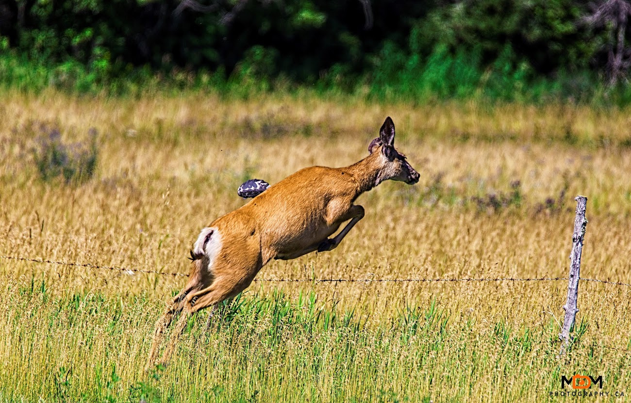 WBTPA Featured Top Photo