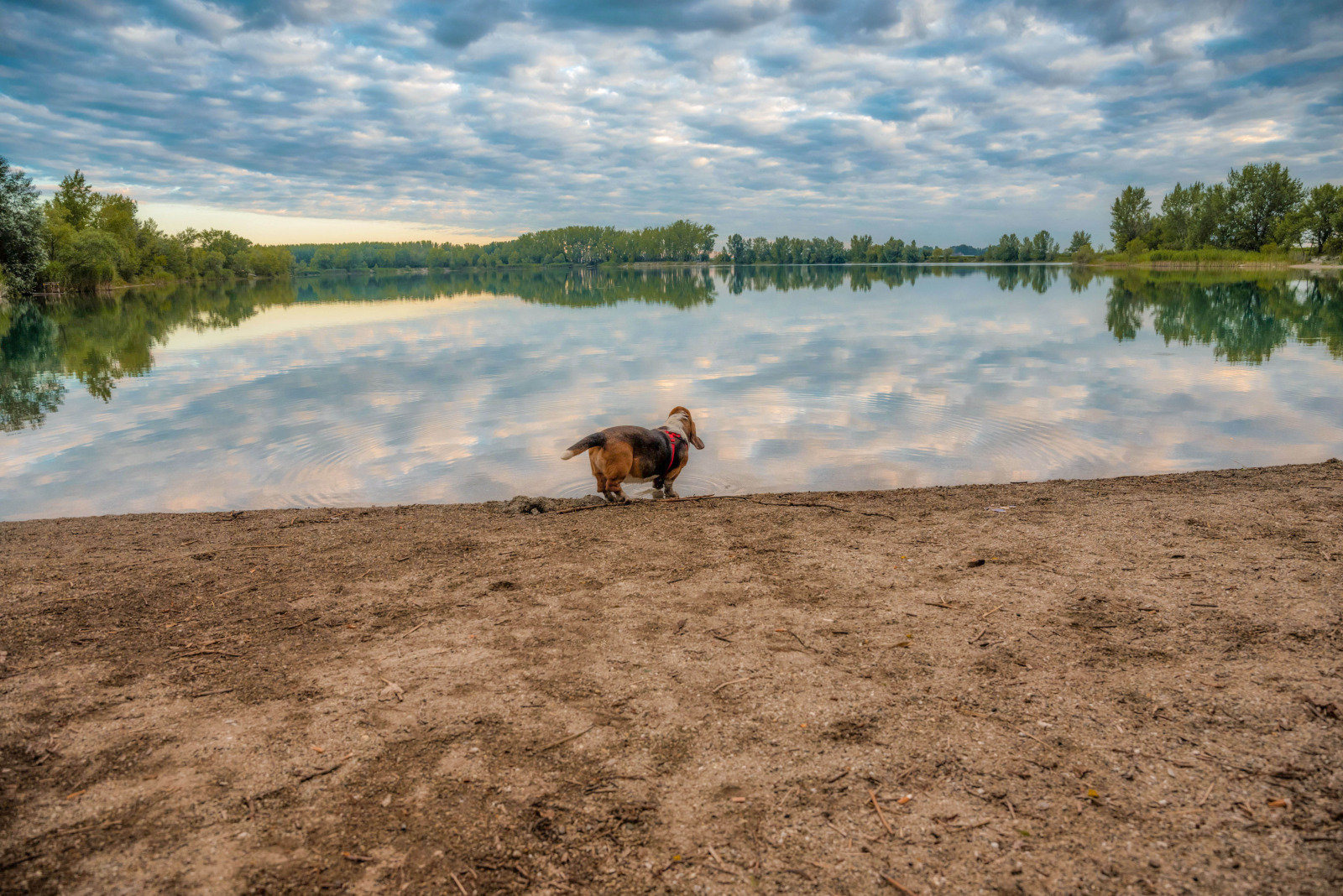 WBTPA Featured Top Photo