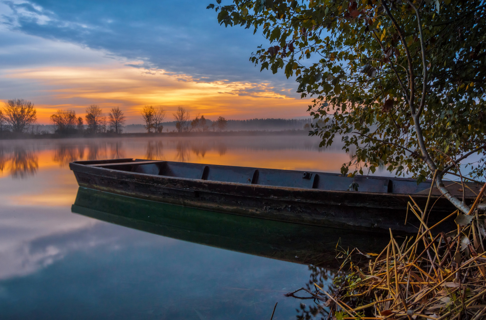 WBTPA Featured Top Photo