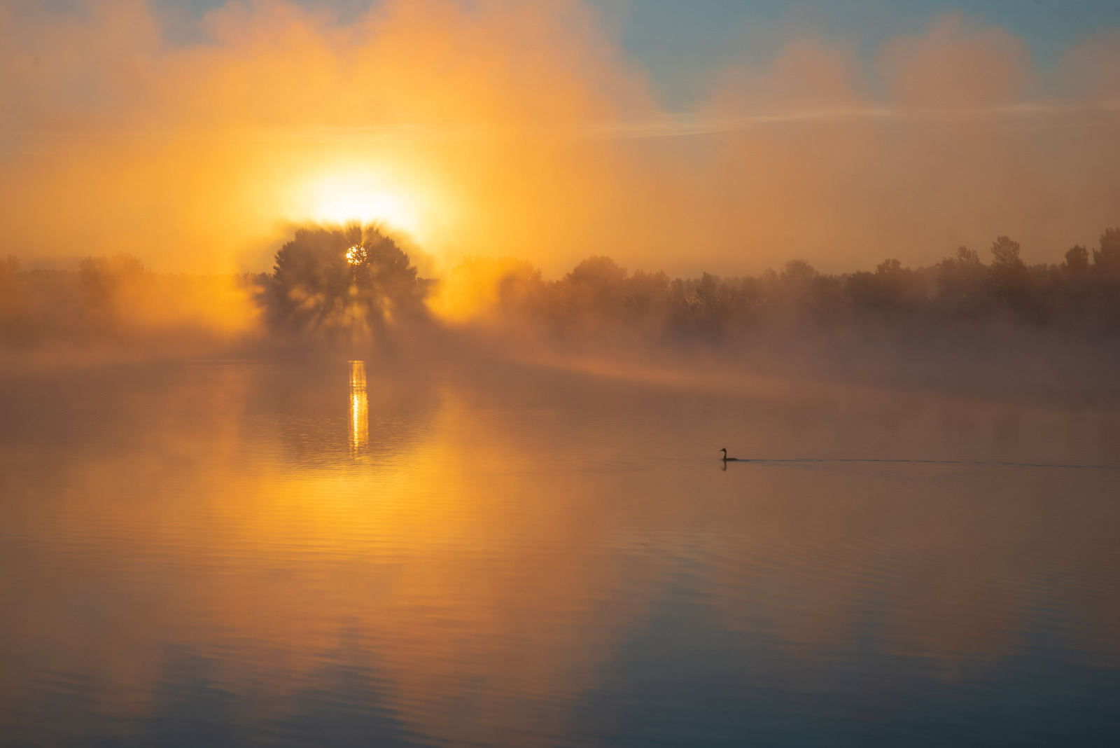 WBTPA Featured Top Photo