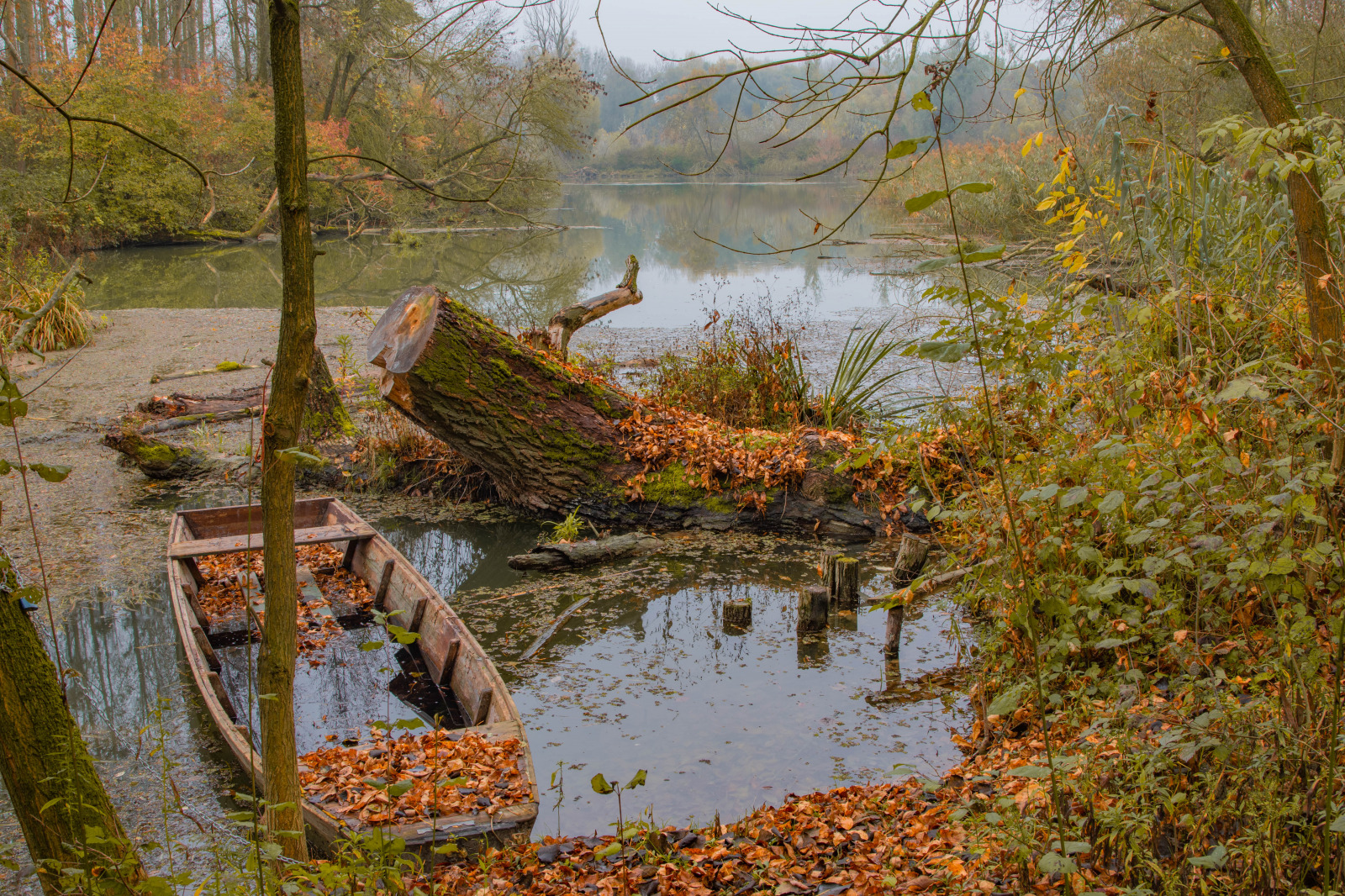 WBTPA Featured Top Photo