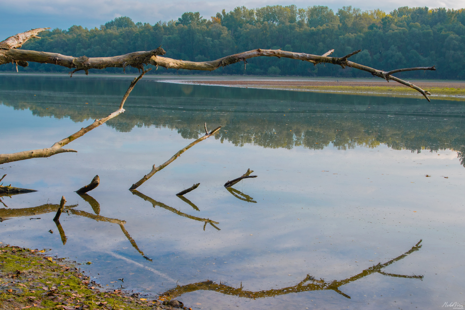 WBTPA Featured Top Photo