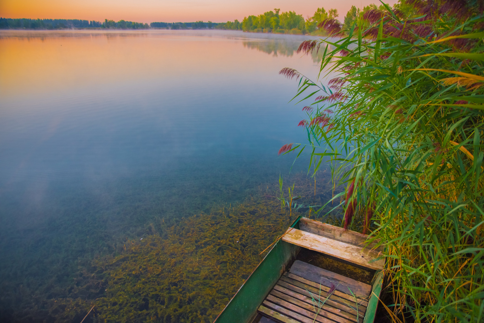 WBTPA Featured Top Photo