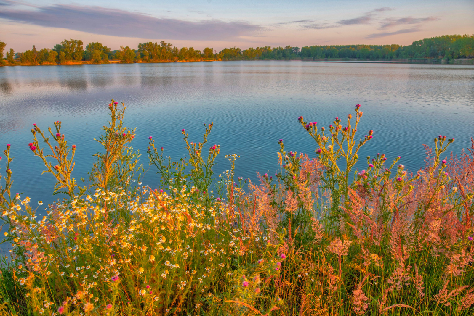 WBTPA Featured Top Photo