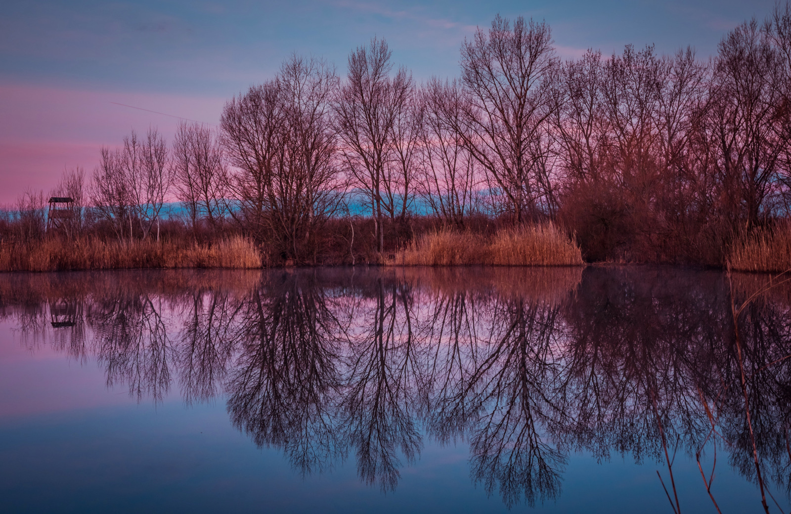 WBTPA Featured Top Photo