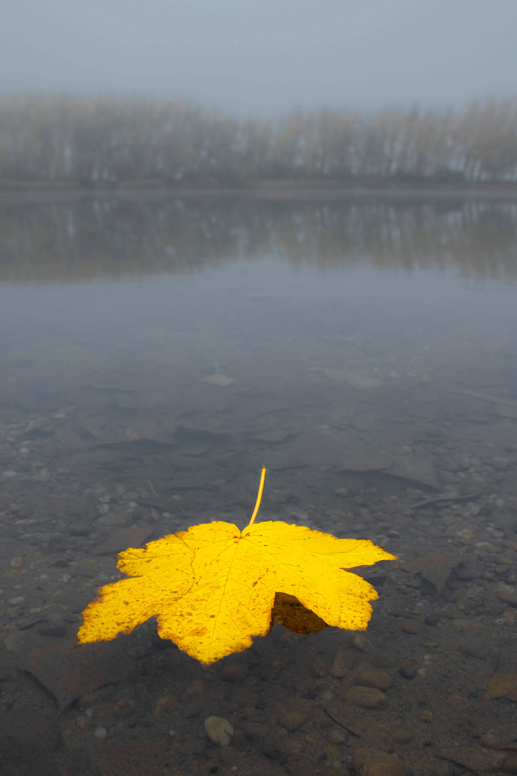 WBTPA Featured Top Photo