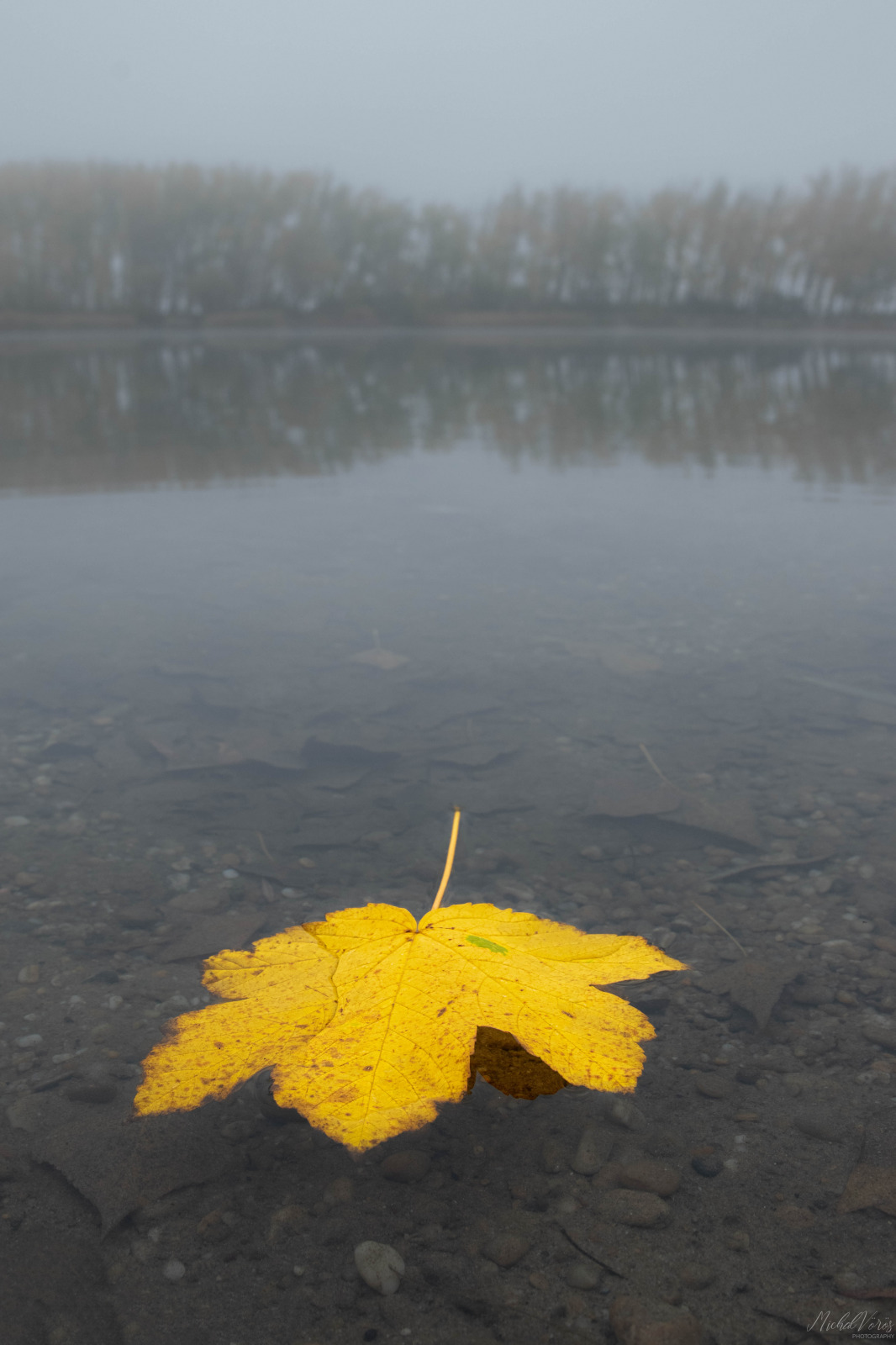 WBTPA Featured Top Photo