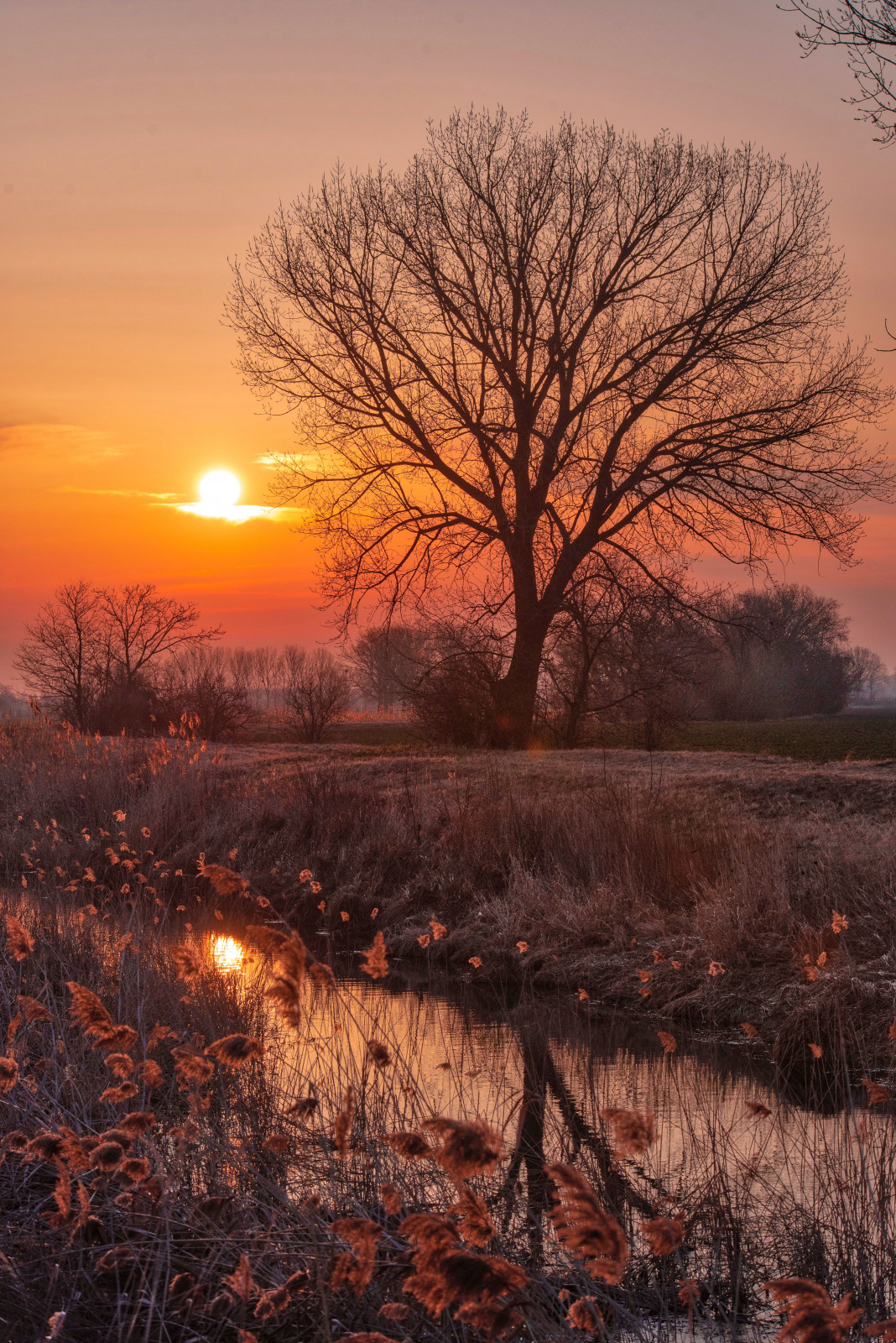 WBTPA Featured Top Photo