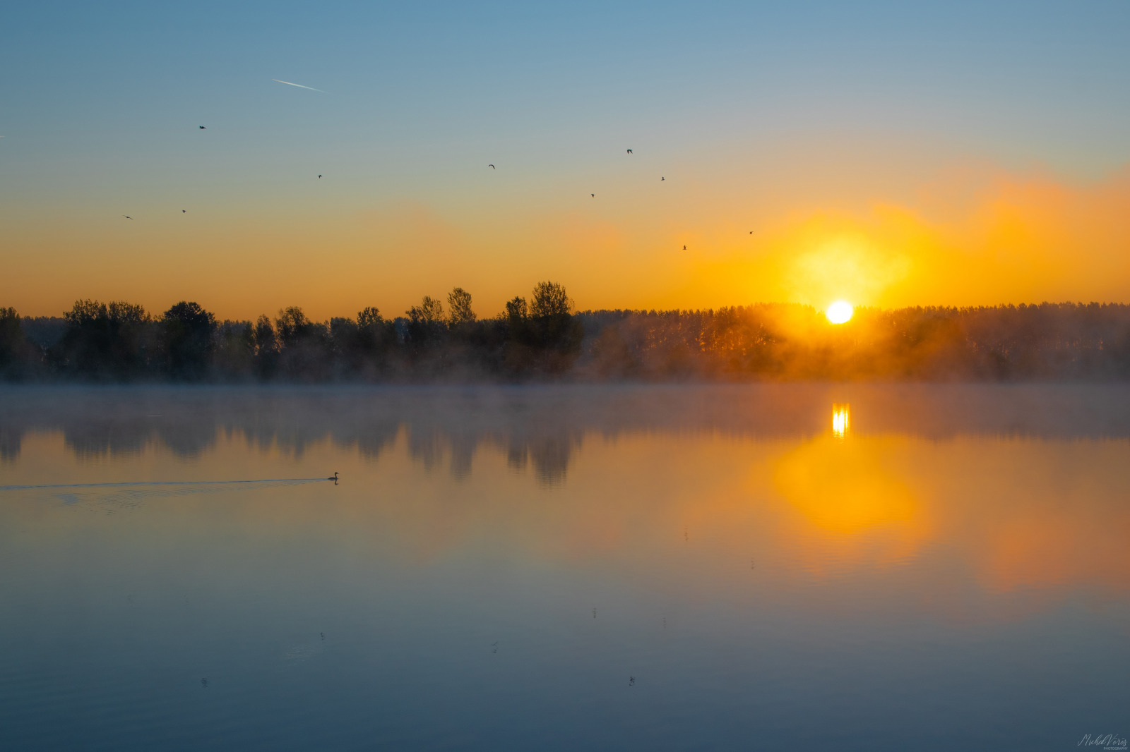 WBTPA Featured Top Photo