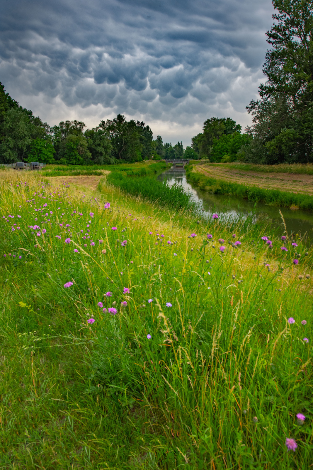 WBTPA Featured Top Photo