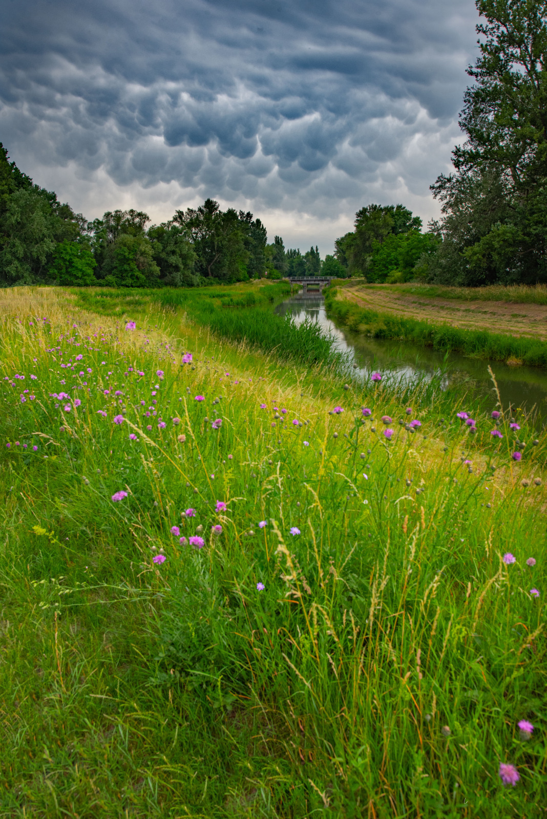 WBTPA Featured Top Photo