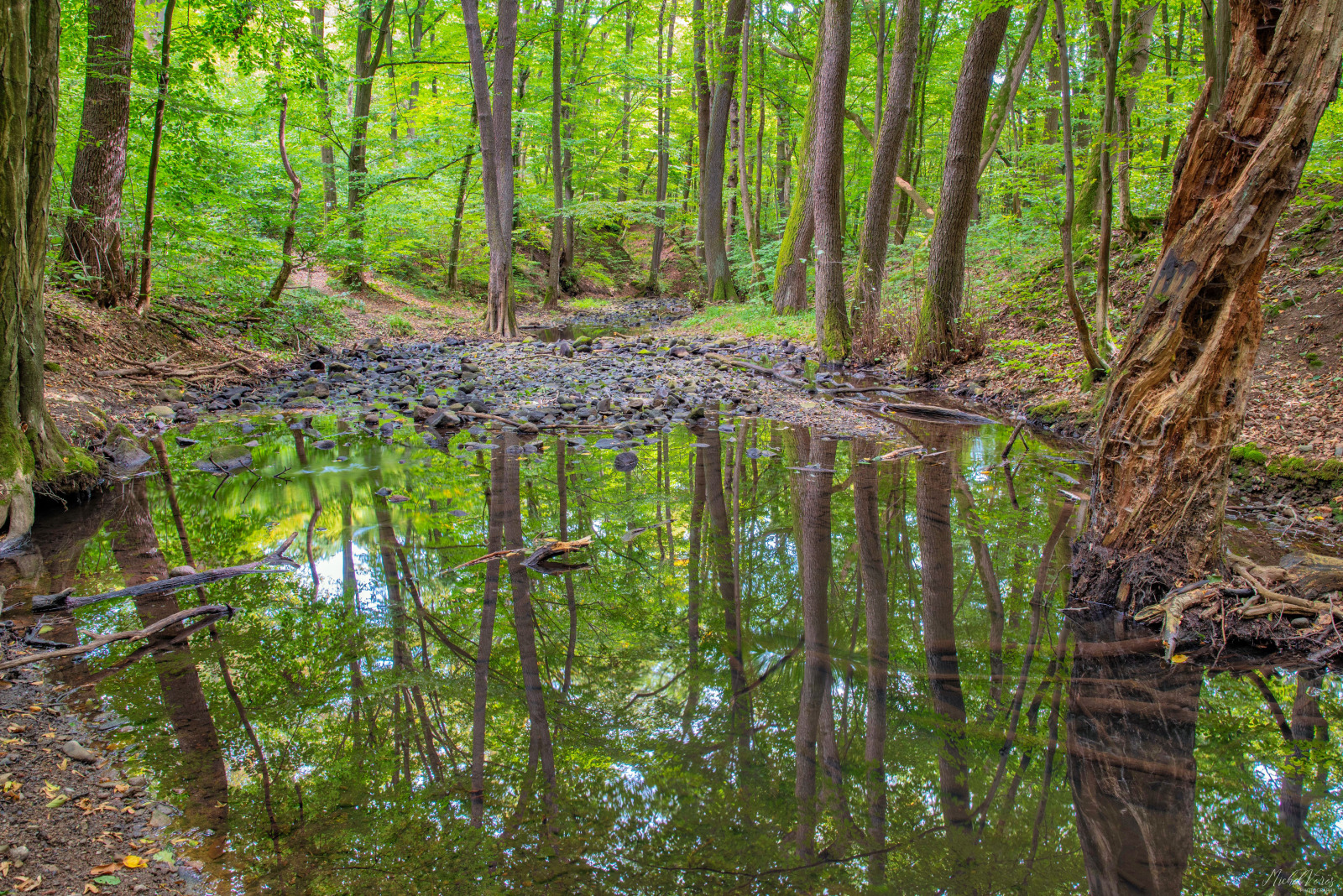 WBTPA Featured Top Photo