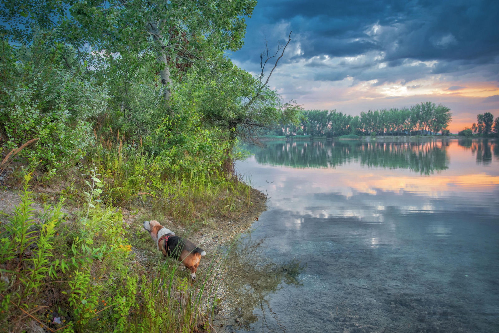 WBTPA Featured Top Photo