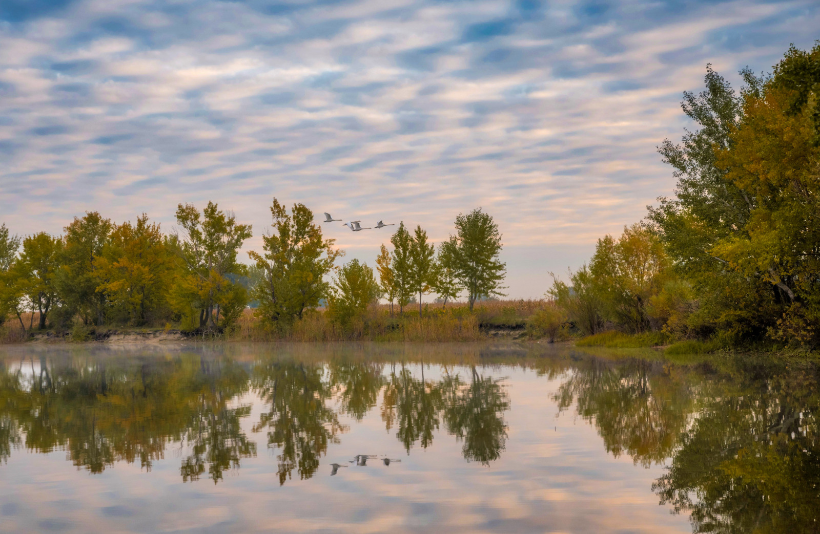 WBTPA Featured Top Photo