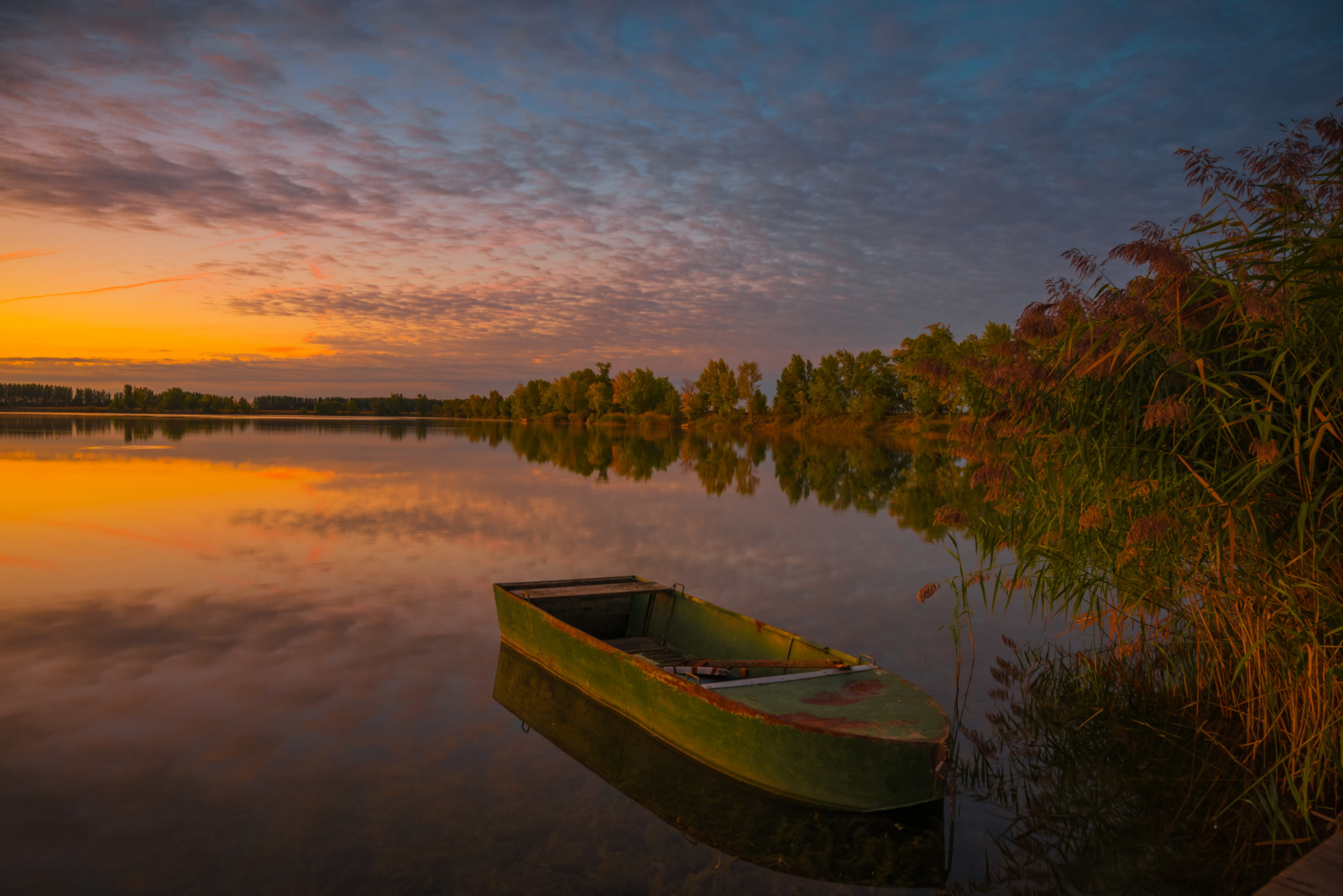 WBTPA Featured Top Photo