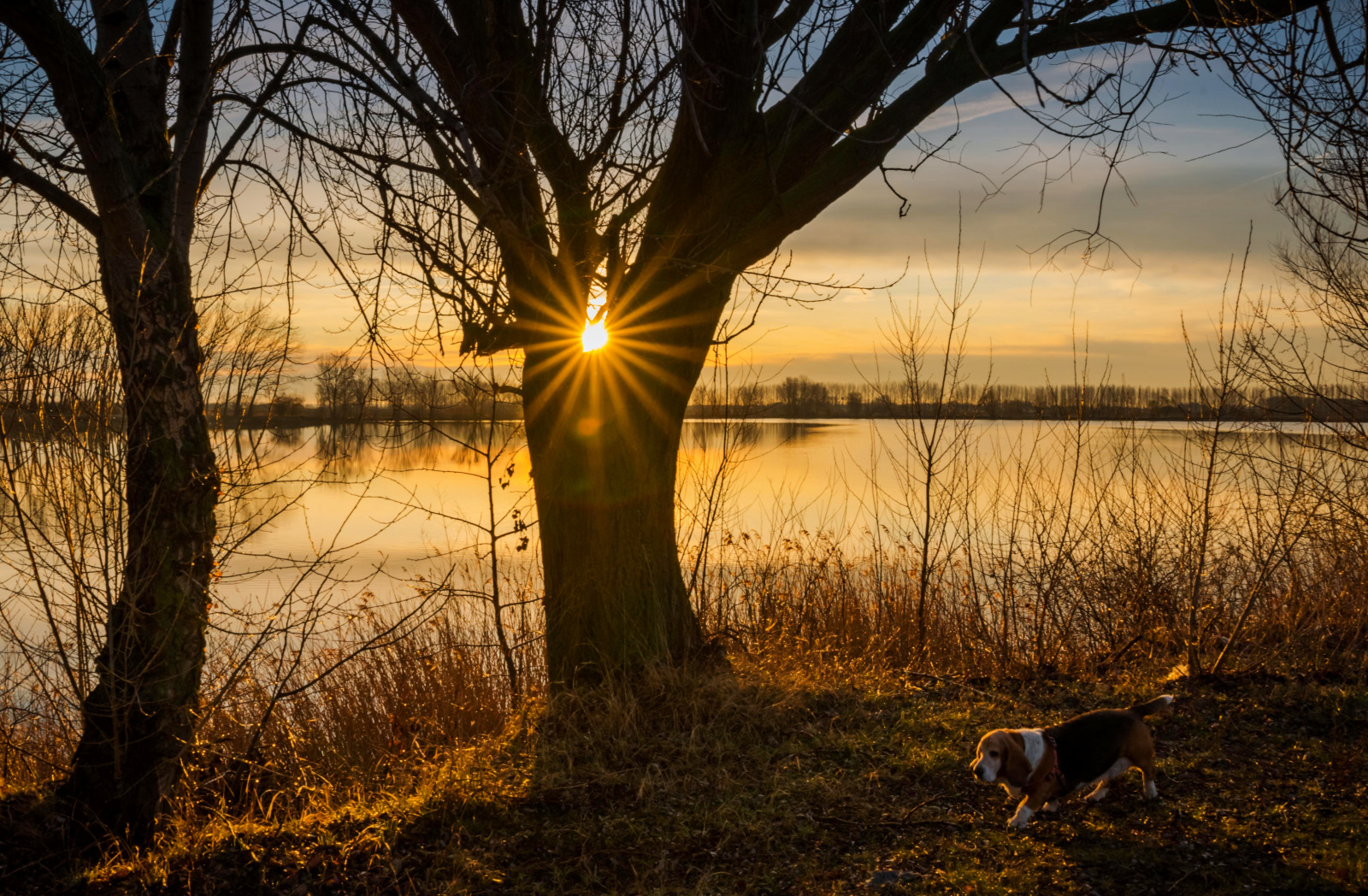 WBTPA Featured Top Photo