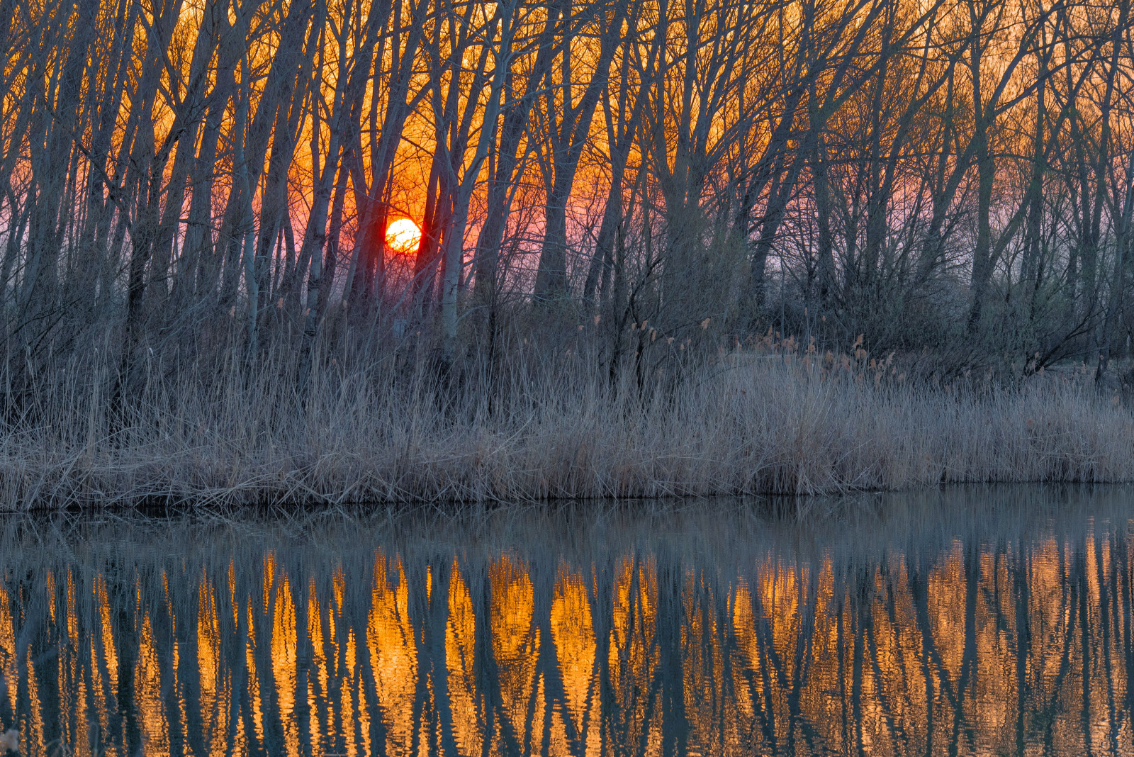 WBTPA Featured Top Photo