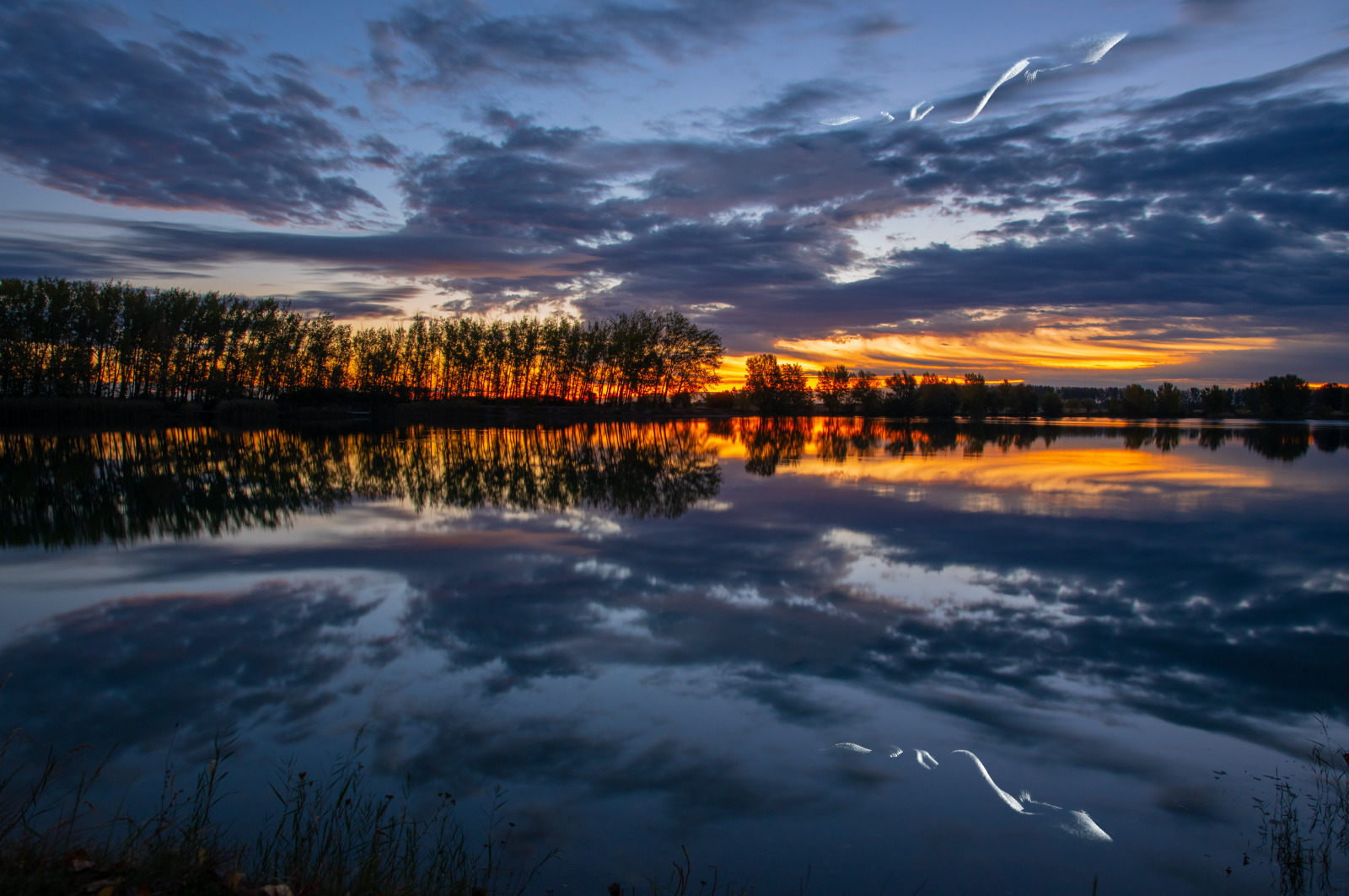 WBTPA Featured Top Photo