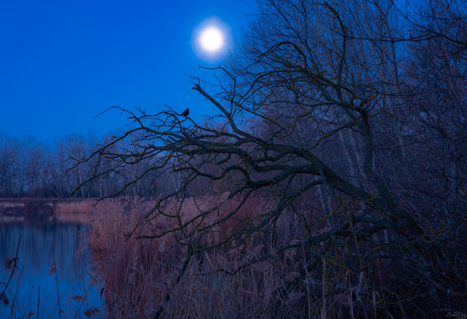 WBTPA Featured Top Photo