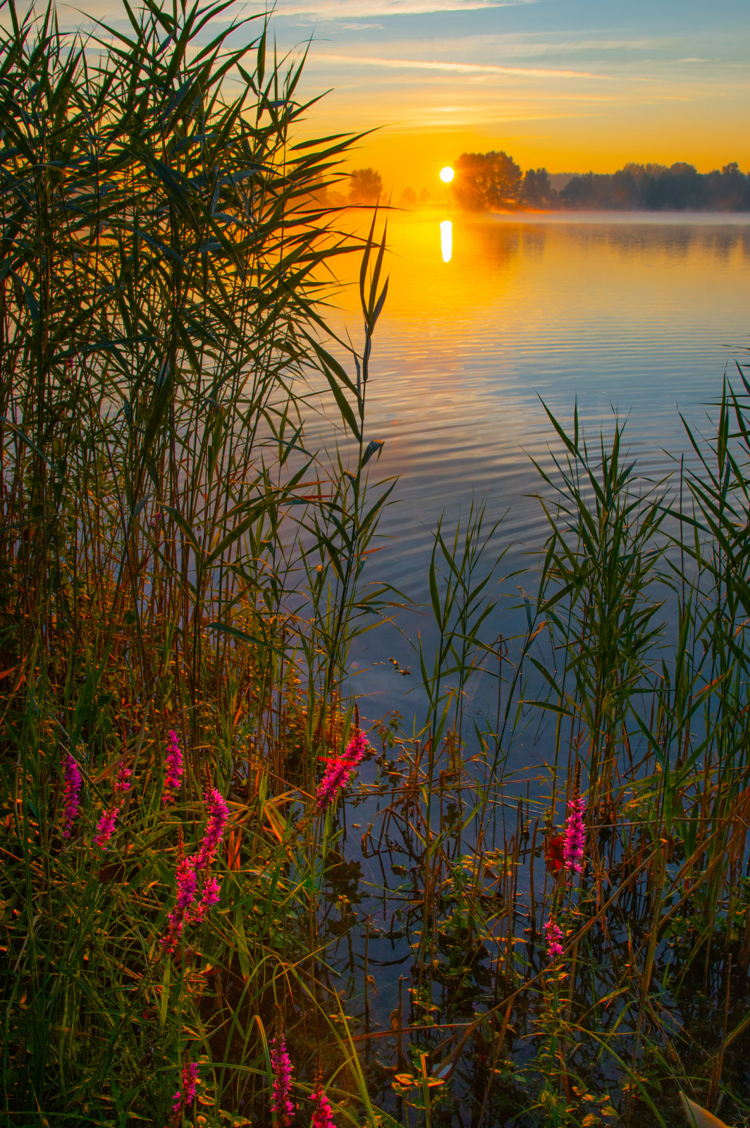 WBTPA Featured Top Photo