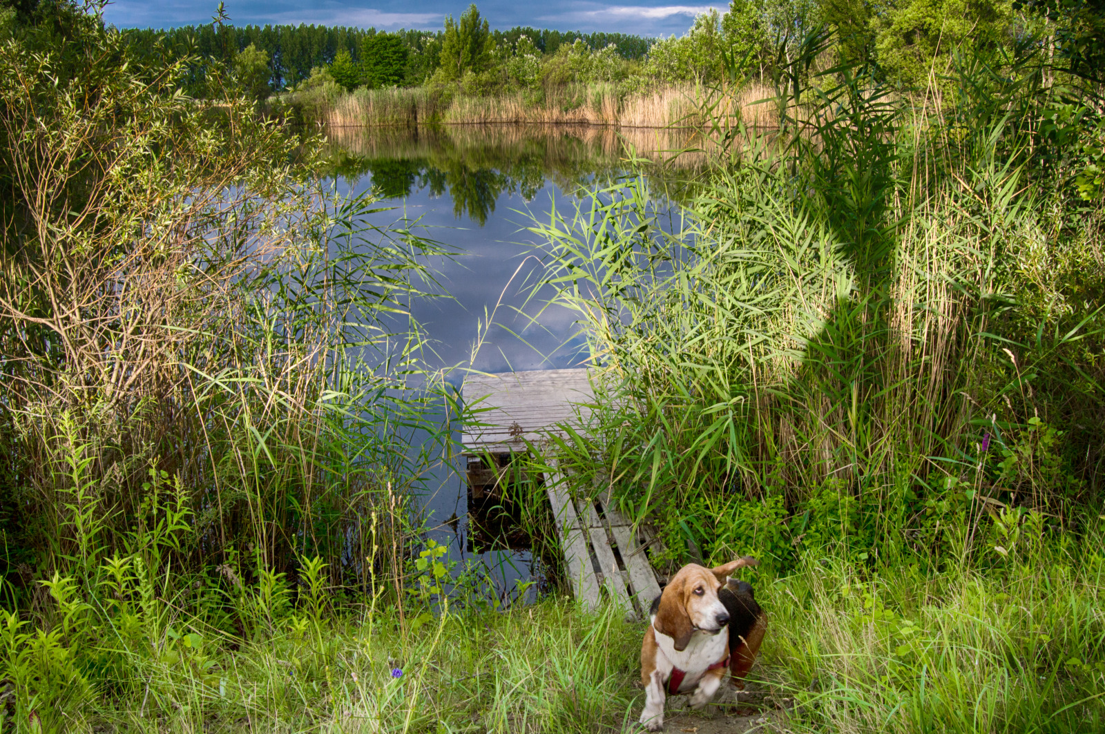 WBTPA Featured Top Photo