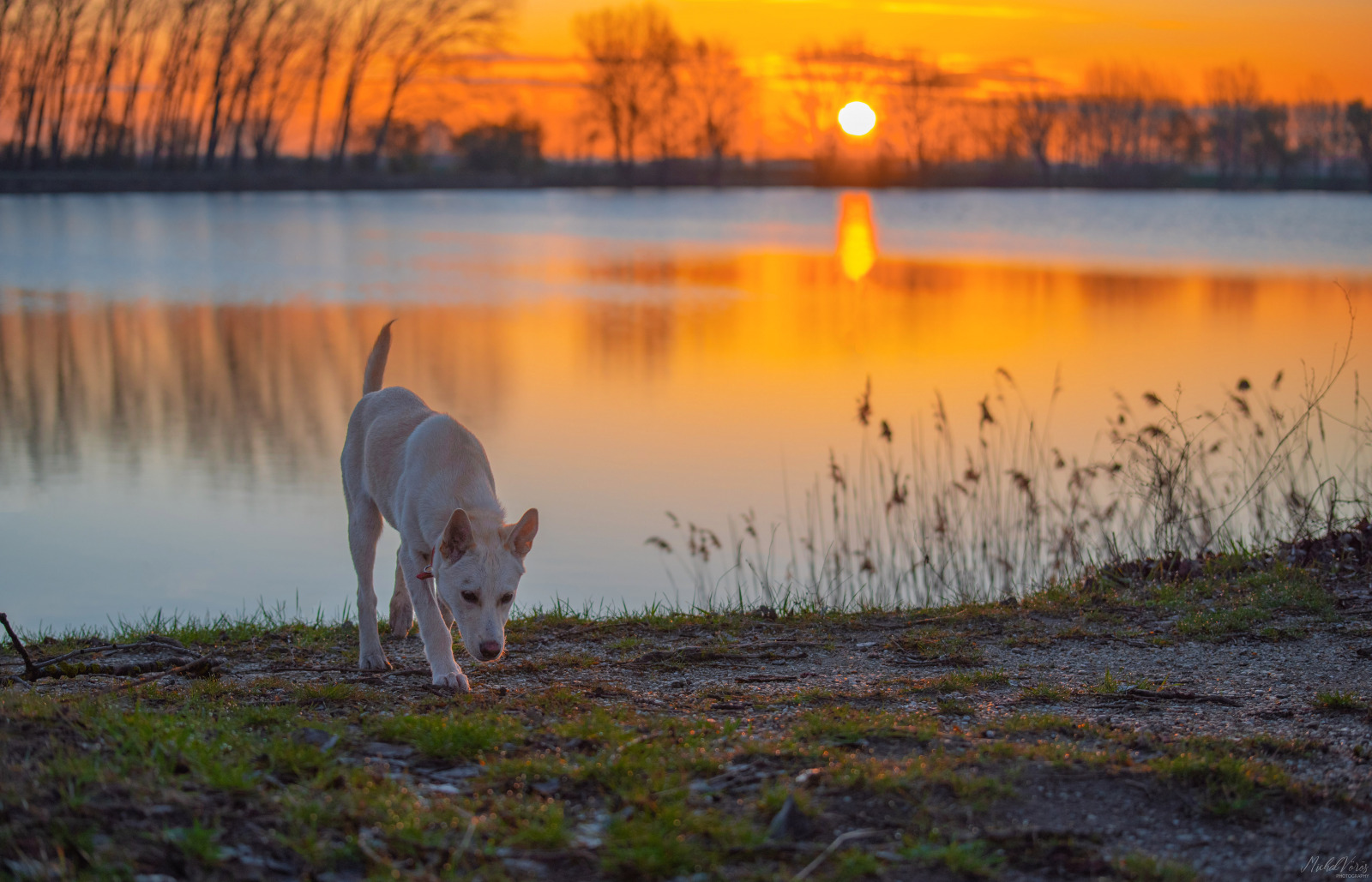 WBTPA Featured Top Photo