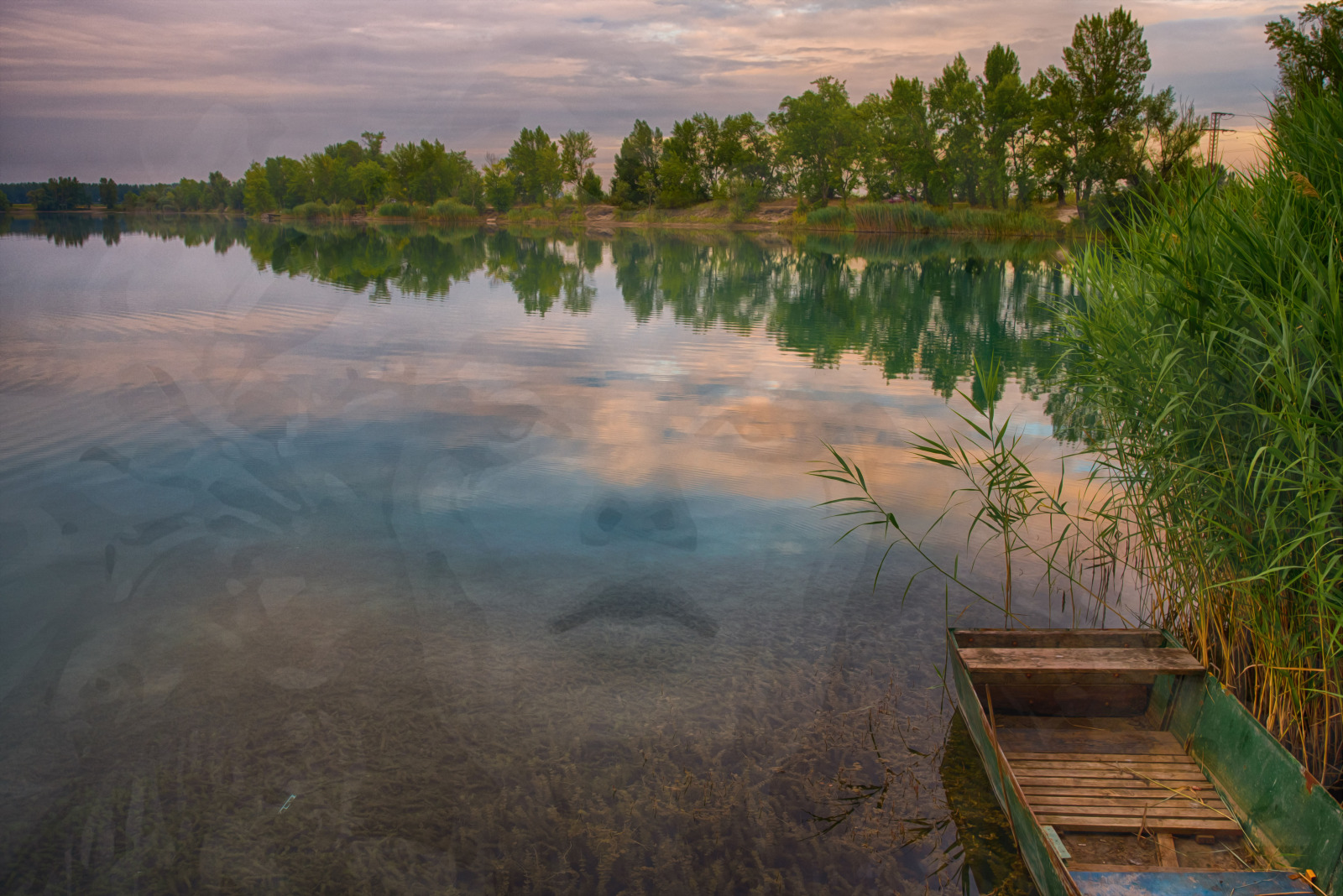 WBTPA Featured Top Photo