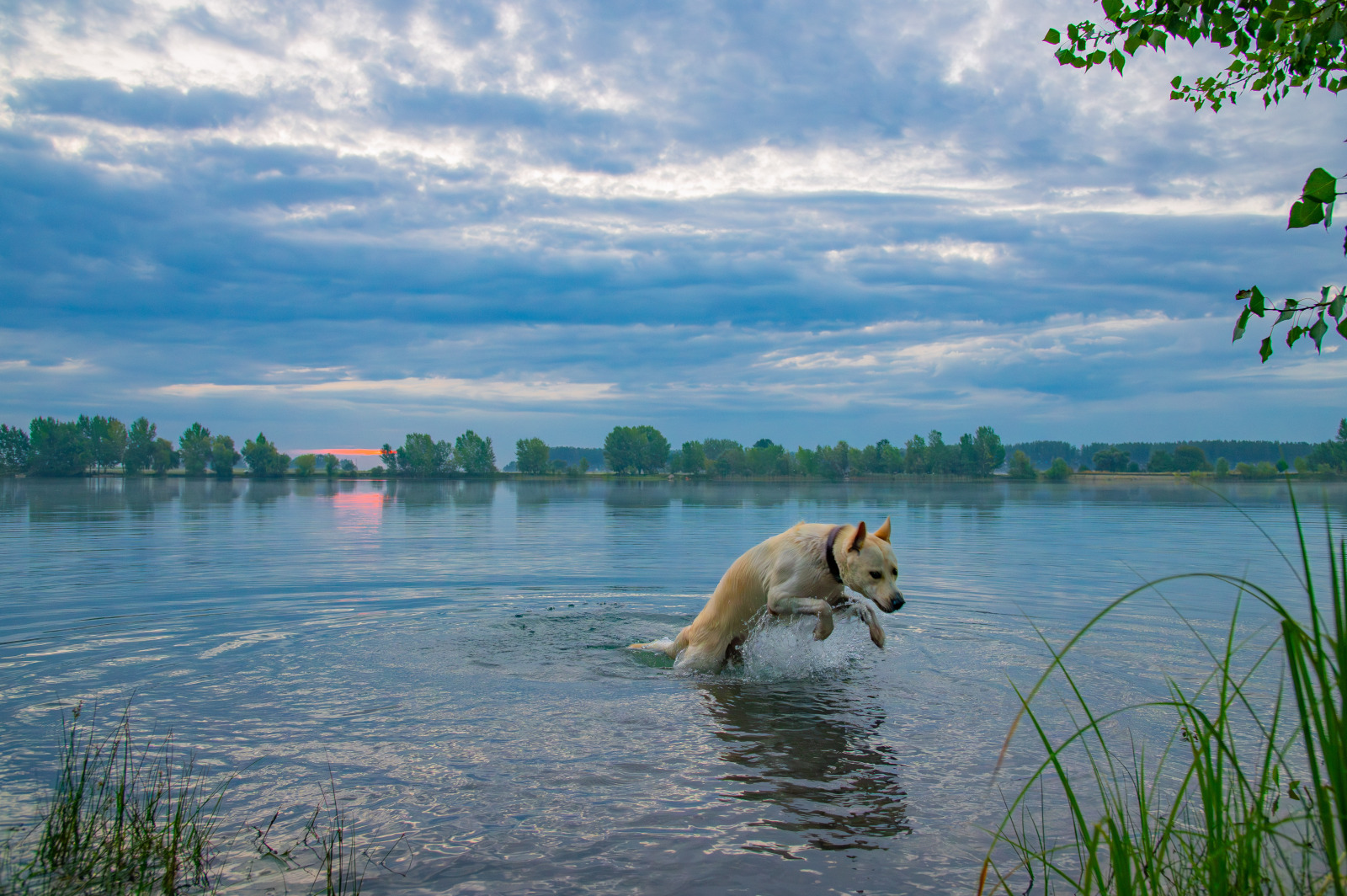 WBTPA Featured Top Photo