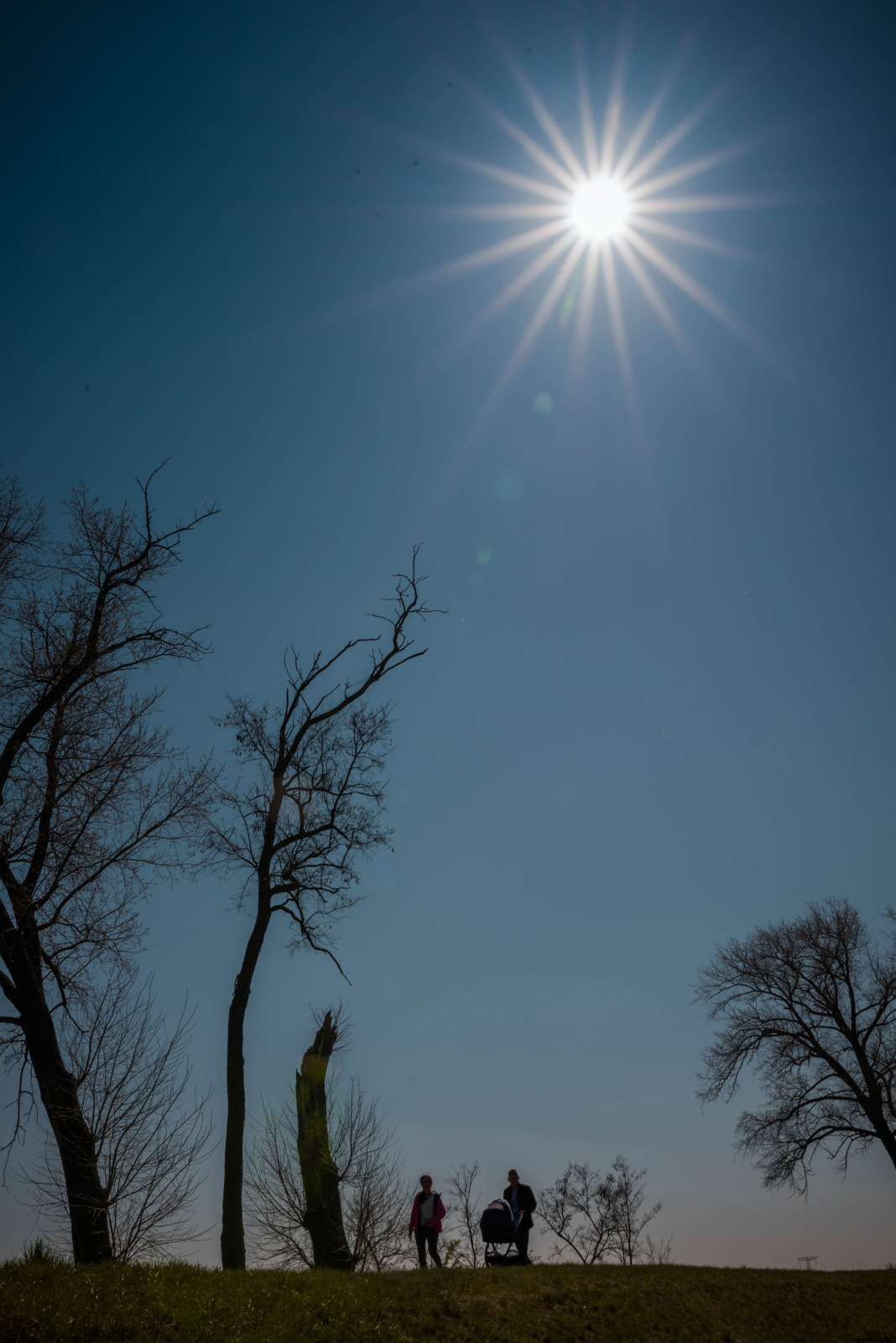 WBTPA Featured Top Photo