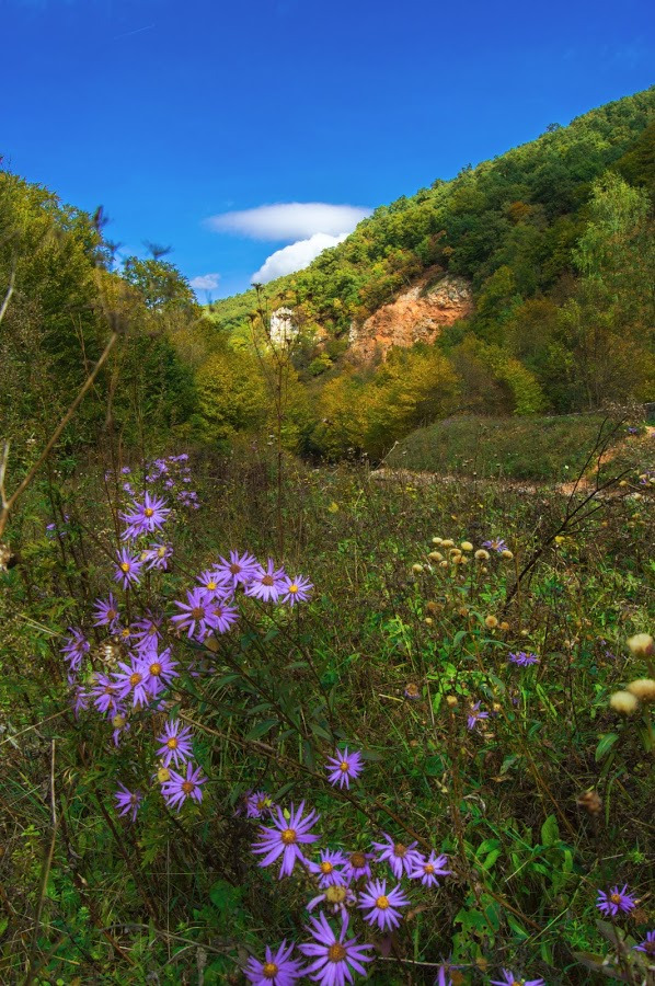 WBTPA Featured Top Photo