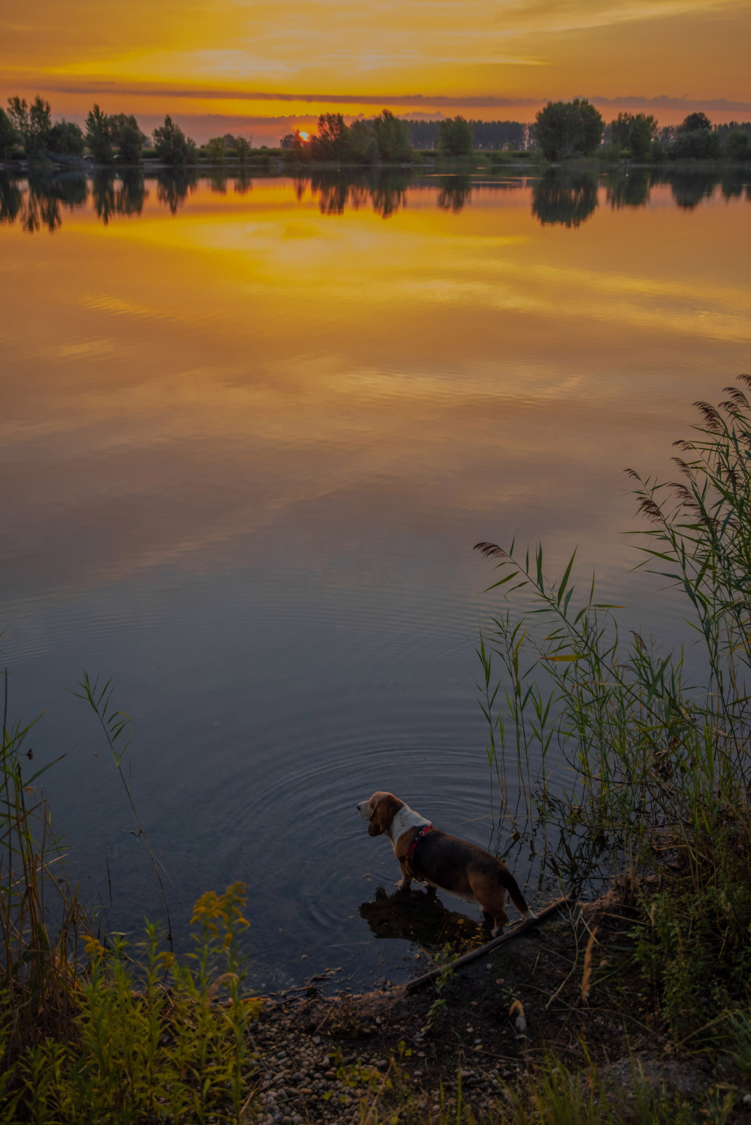 WBTPA Featured Top Photo