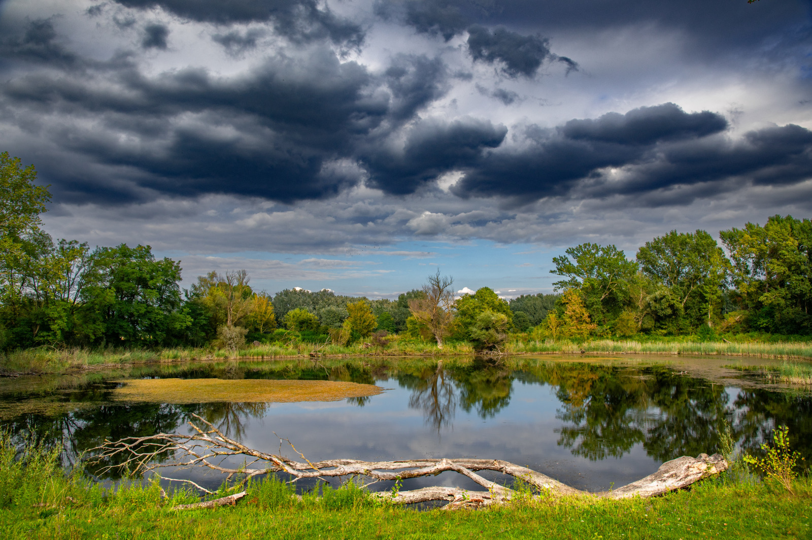 WBTPA Featured Top Photo