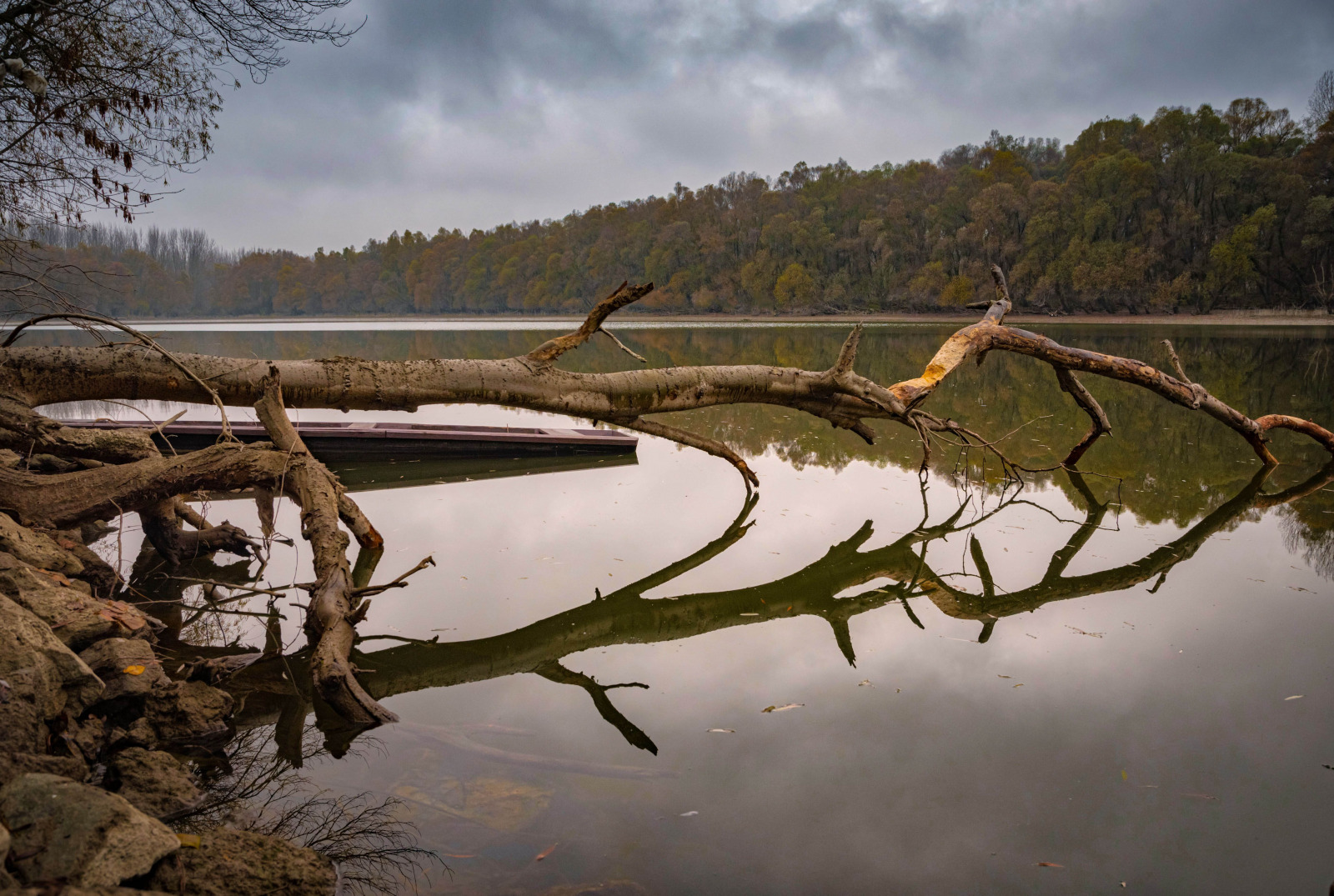 WBTPA Featured Top Photo