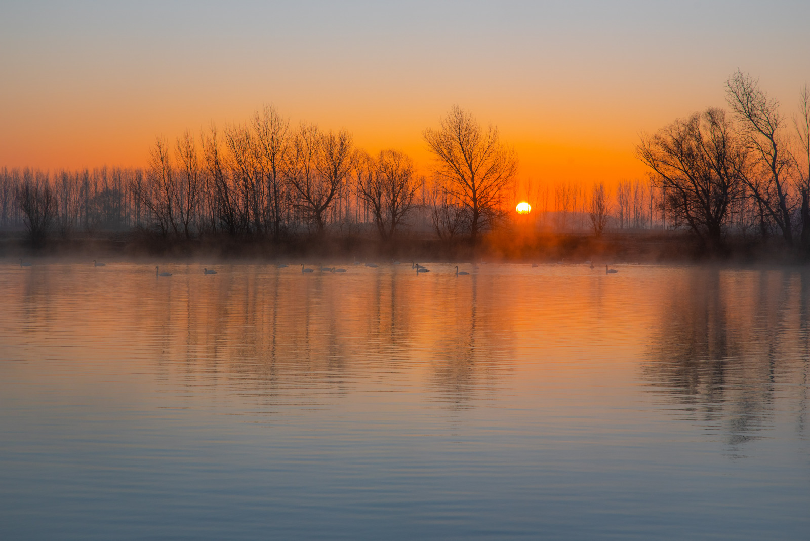 WBTPA Featured Top Photo