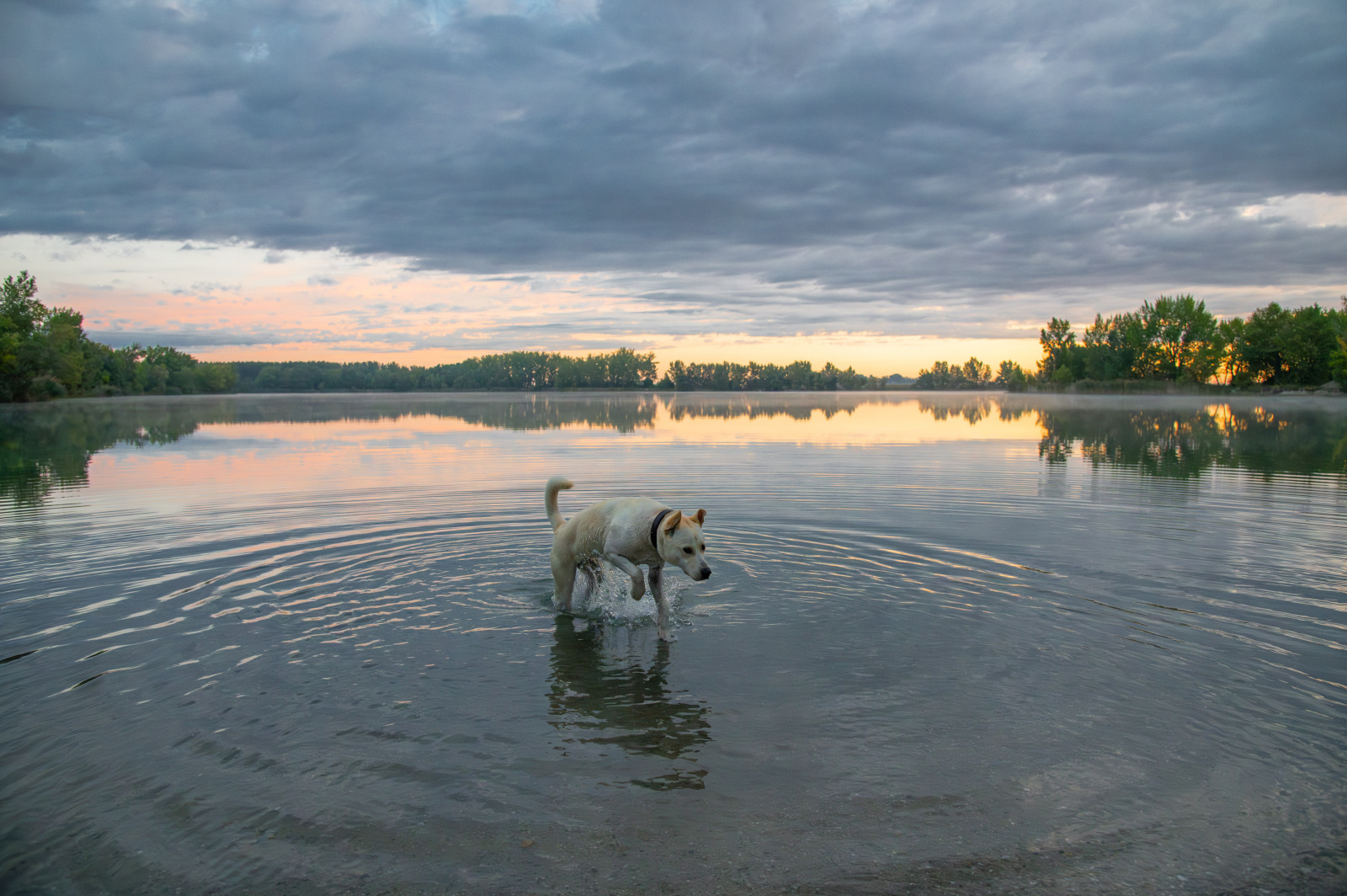 WBTPA Featured Top Photo