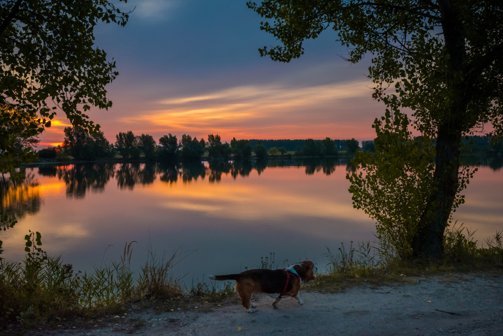 WBTPA Featured Top Photo