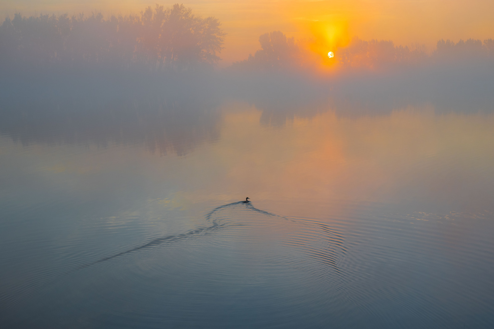 WBTPA Featured Top Photo