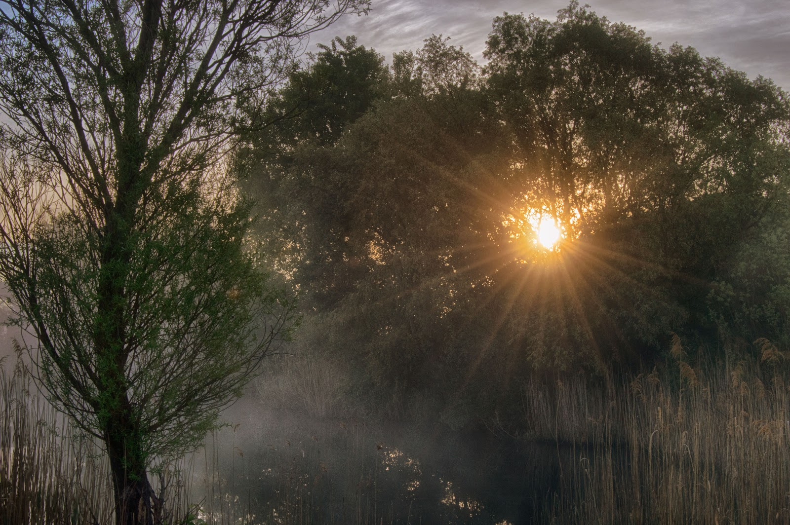 WBTPA Featured Top Photo