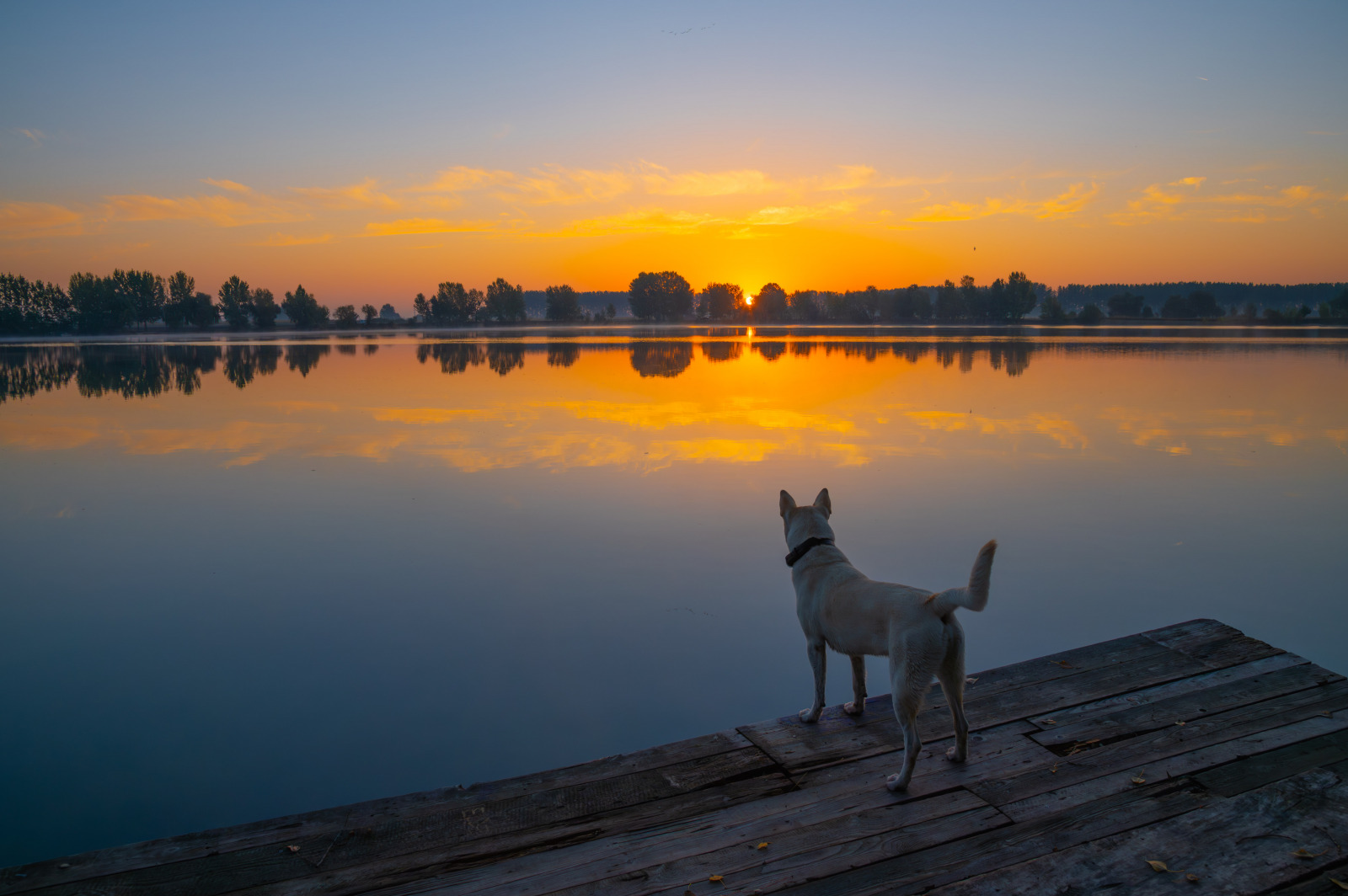 WBTPA Featured Top Photo