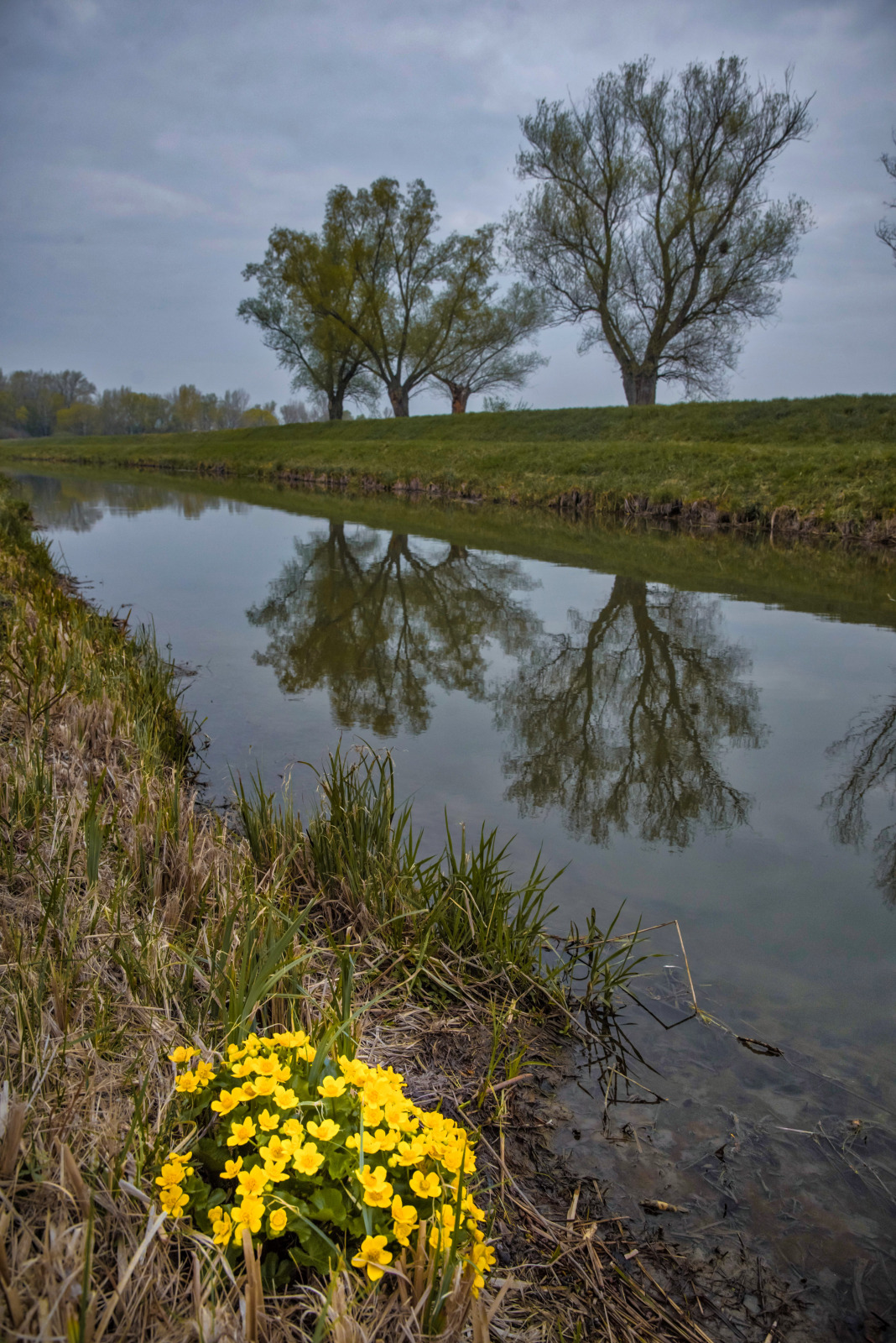 WBTPA Featured Top Photo