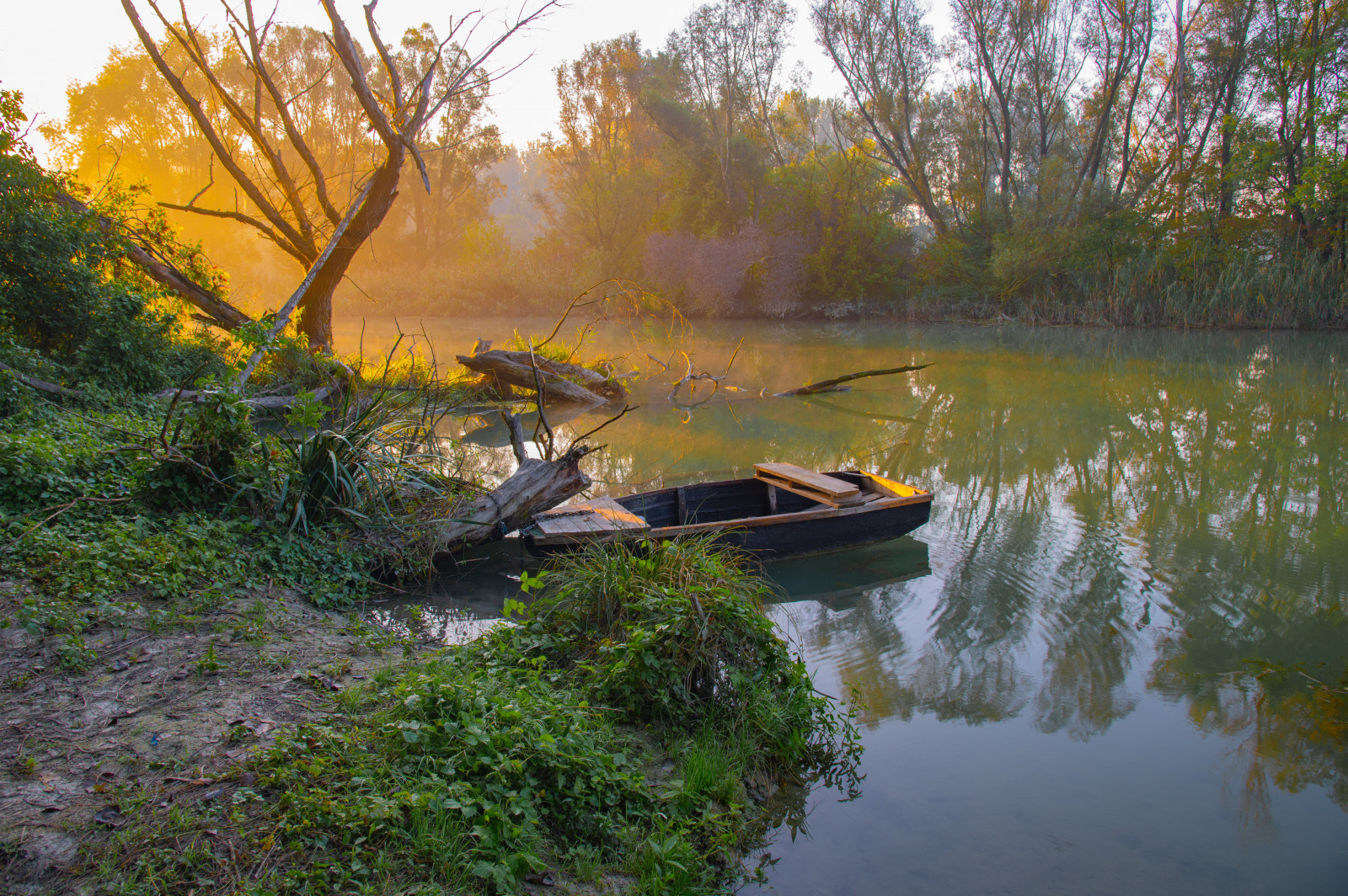 WBTPA Featured Top Photo