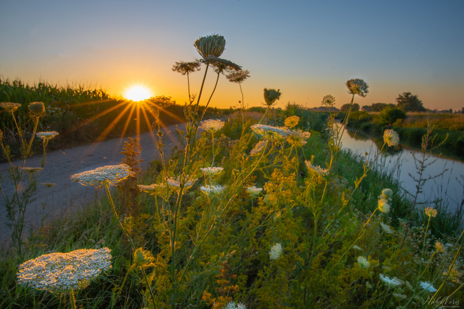 WBTPA Featured Top Photo